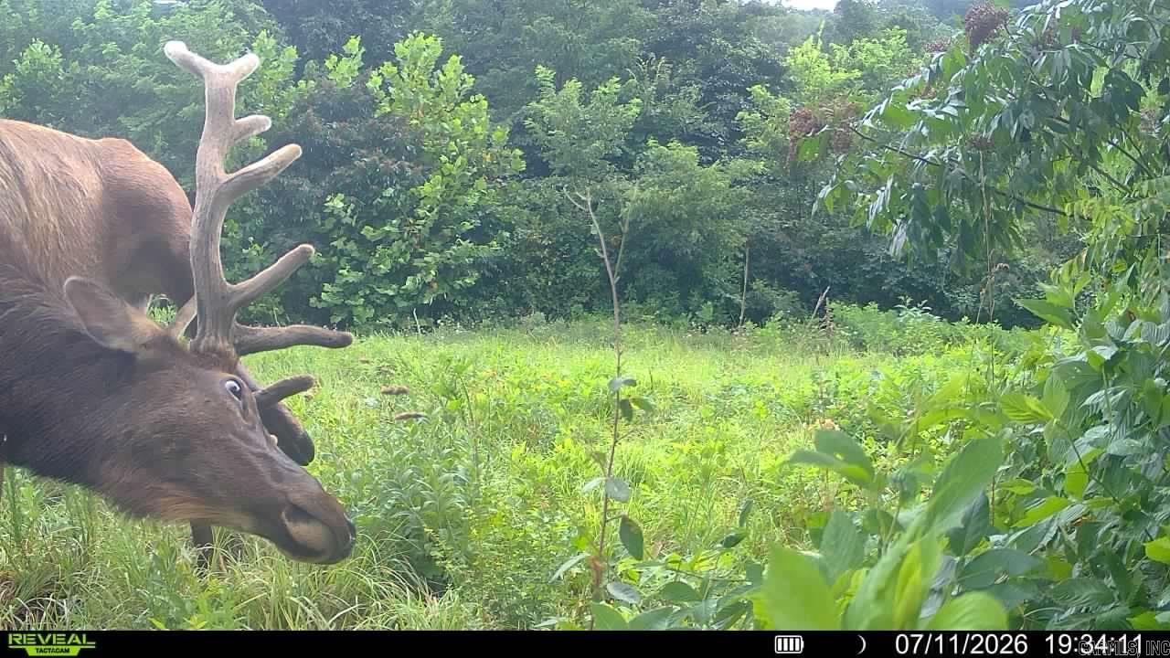 0 Richland  Saint Joe, AR