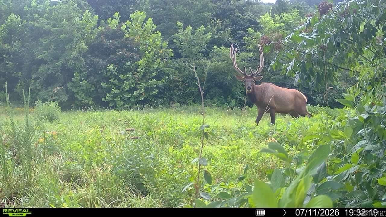 0 Richland  Saint Joe, AR