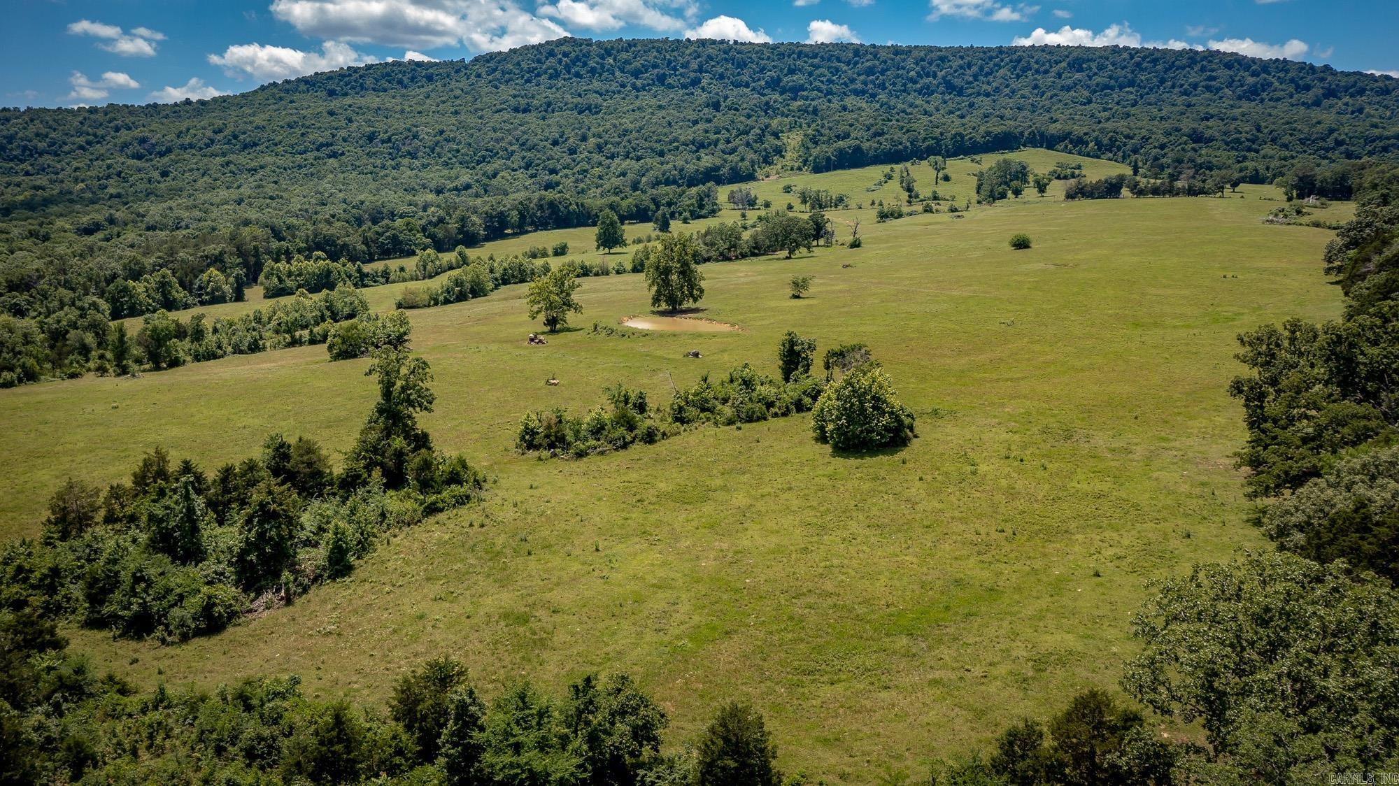 0 Richland  Saint Joe, AR