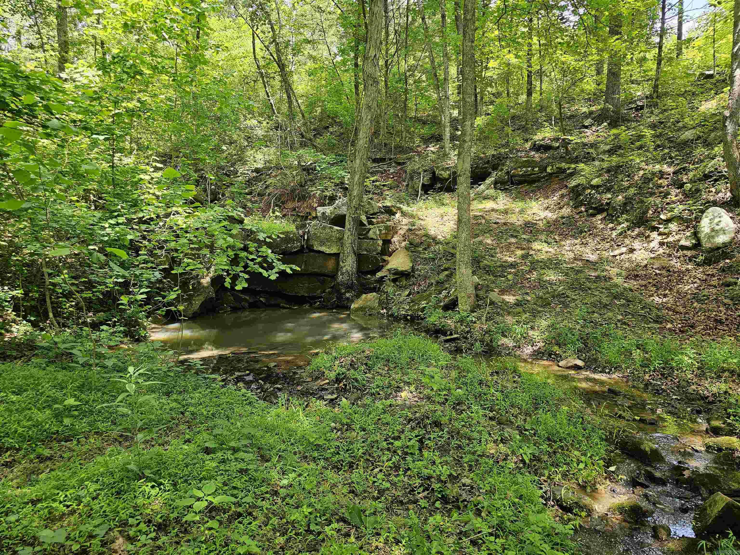 0 Richland  Saint Joe, AR