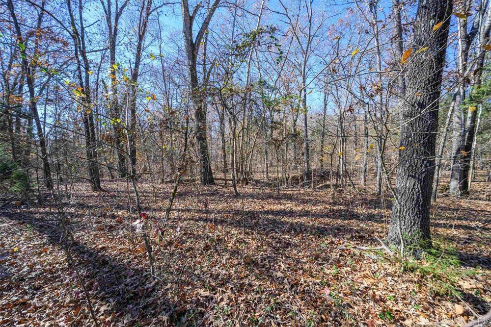 Lots 31-33 MC7001  Flippin, AR