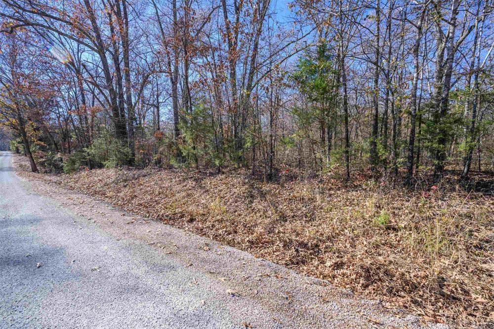 Lots 31-33 MC7001  Flippin, AR