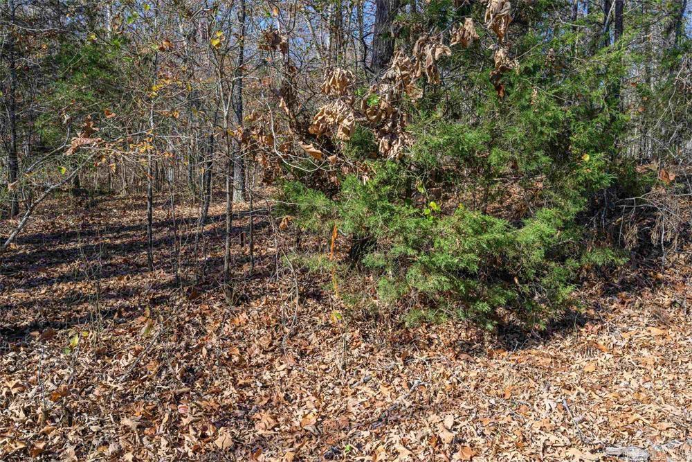 Lots 31-33 MC7001  Flippin, AR