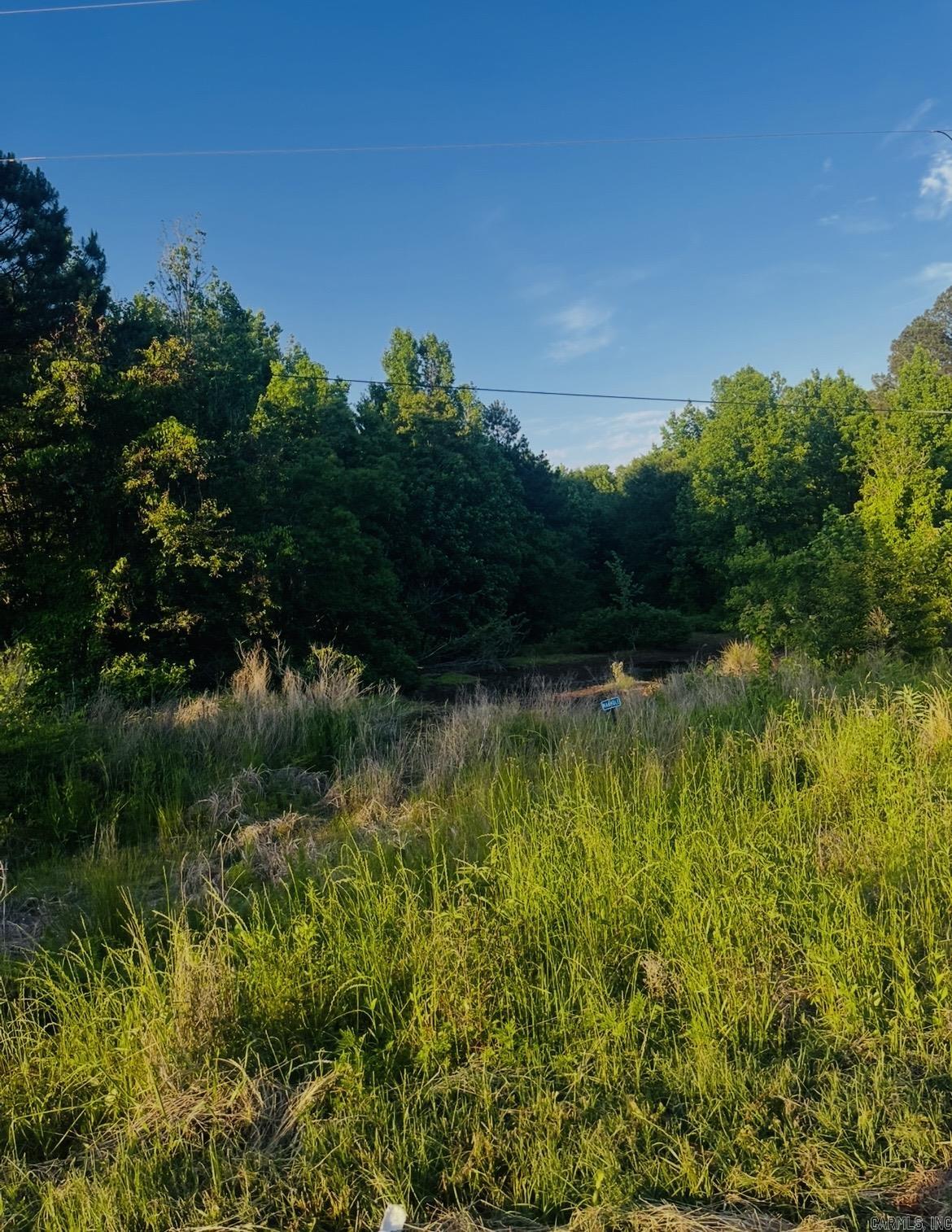 Lot 4 Parkwood  Monticello, AR