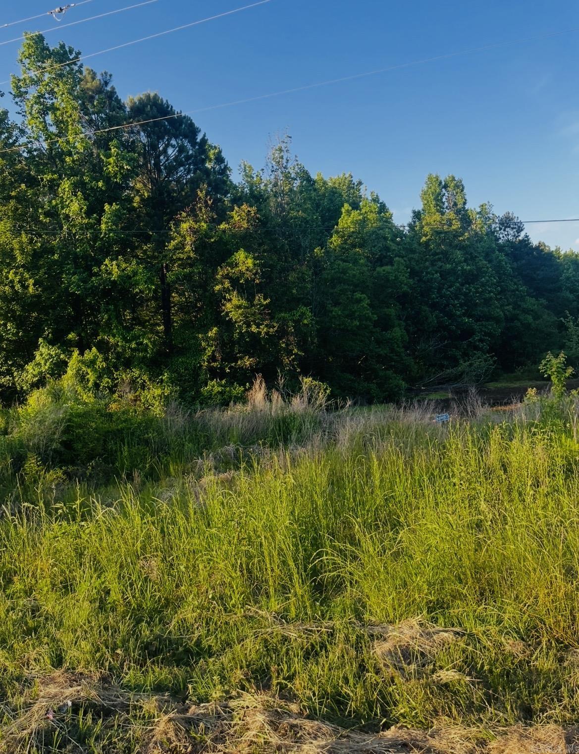 Lot 87 Parkwood  Monticello, AR