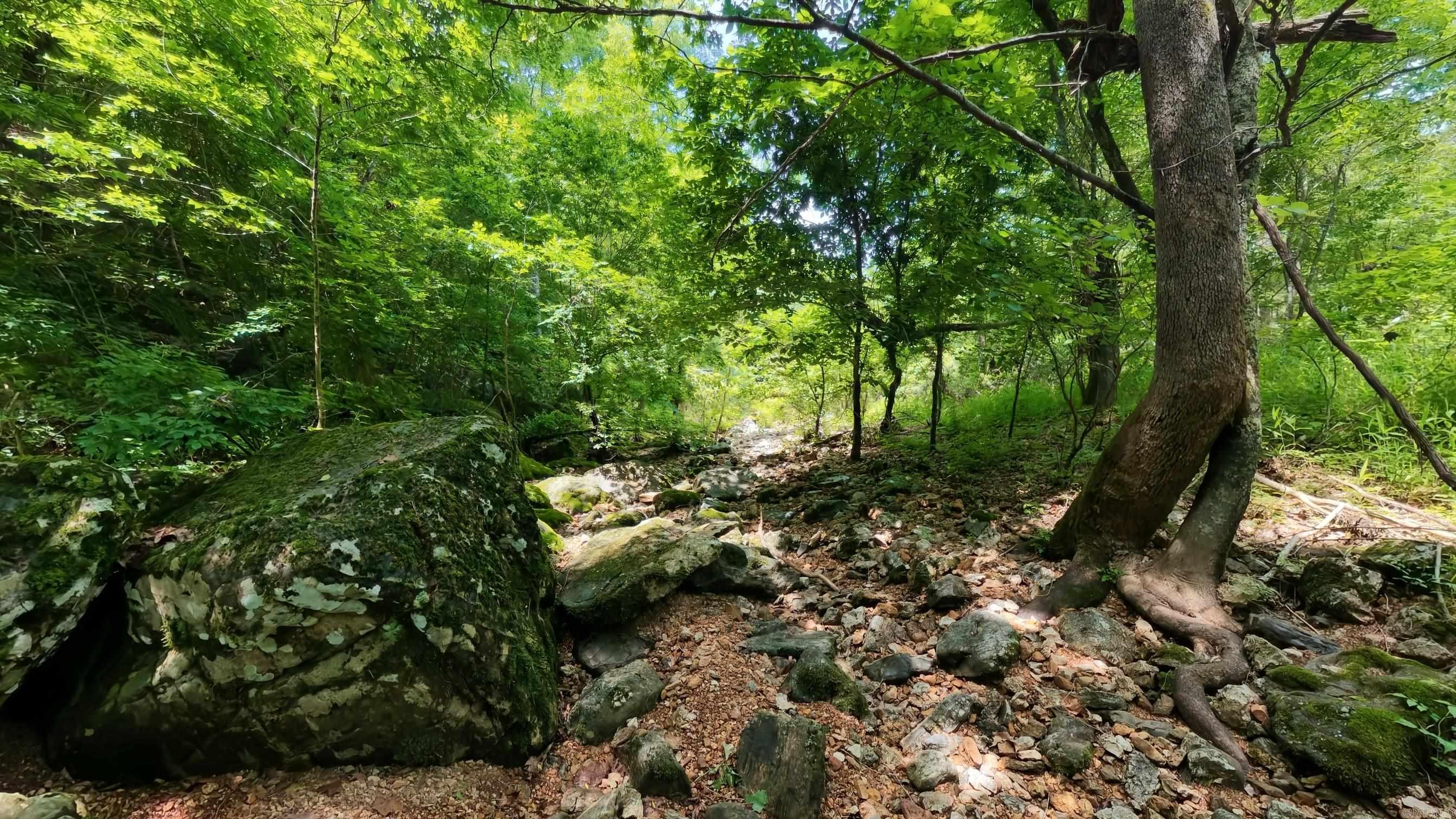 000 County Road 200  Alton, MO