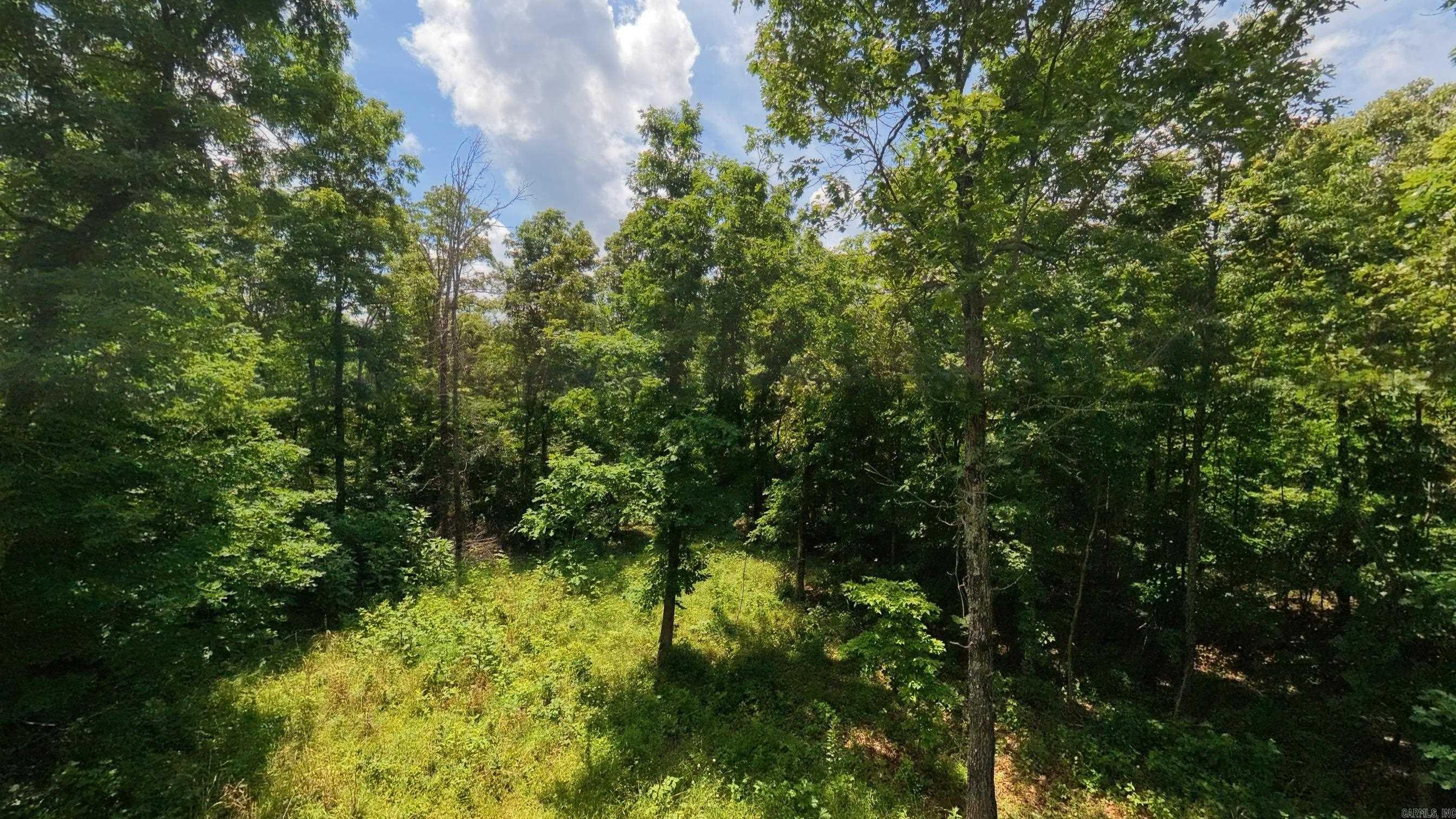 000 County Road 200  Alton, MO
