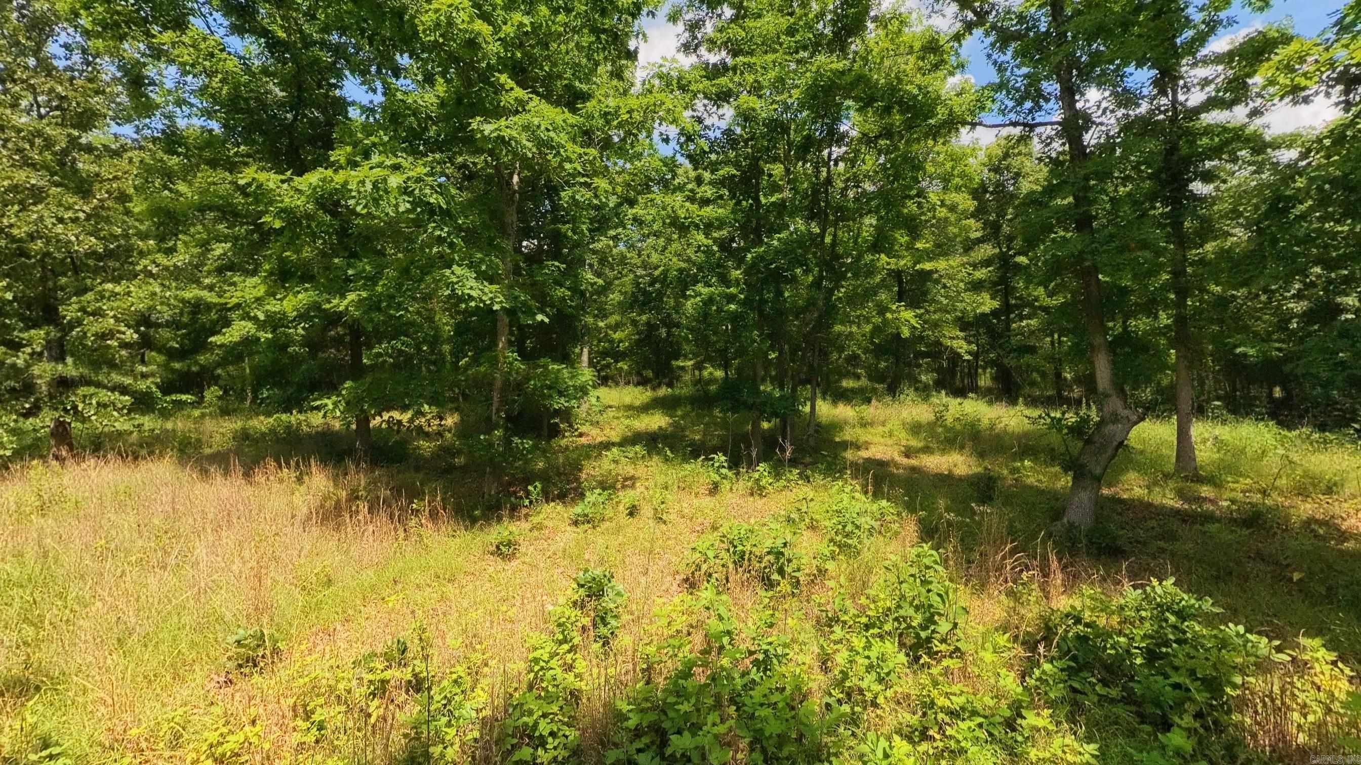 000 County Road 200  Alton, MO
