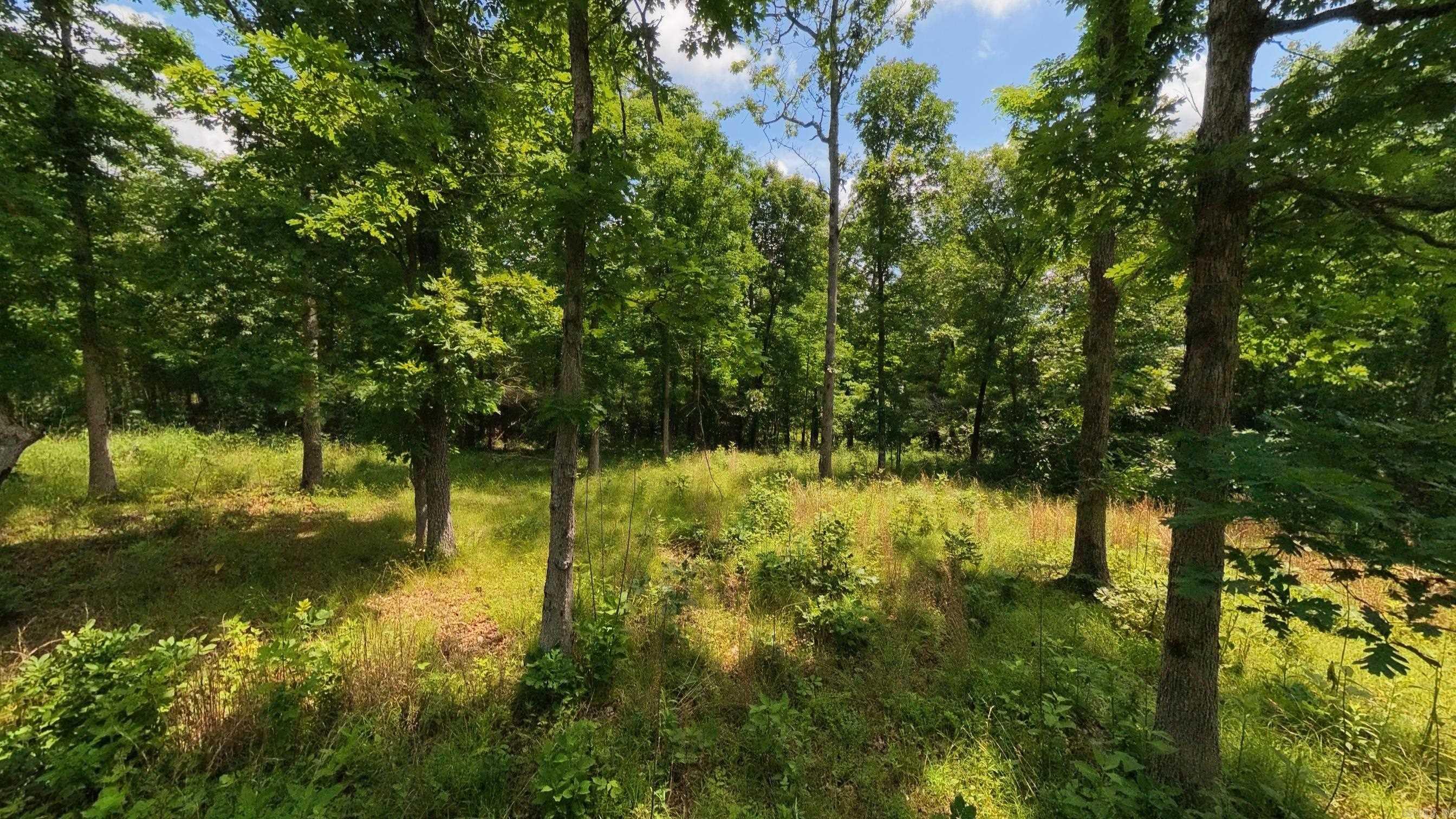 000 County Road 200  Alton, MO