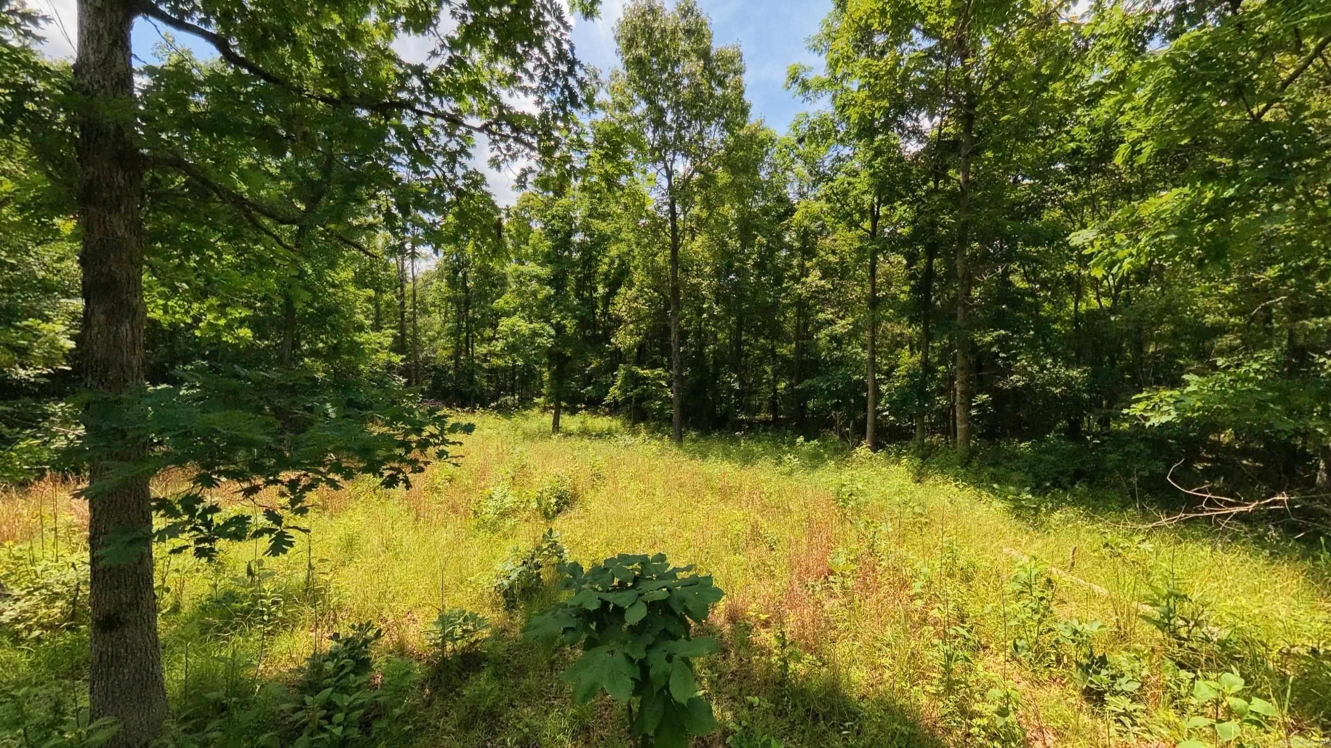 000 County Road 200  Alton, MO