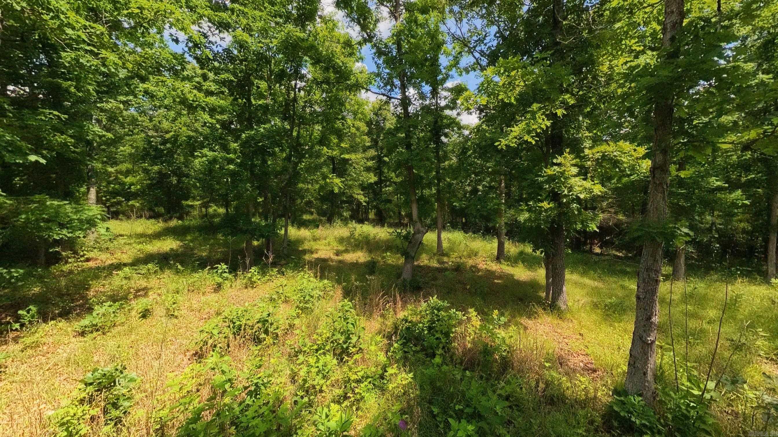 000 County Road 200  Alton, MO