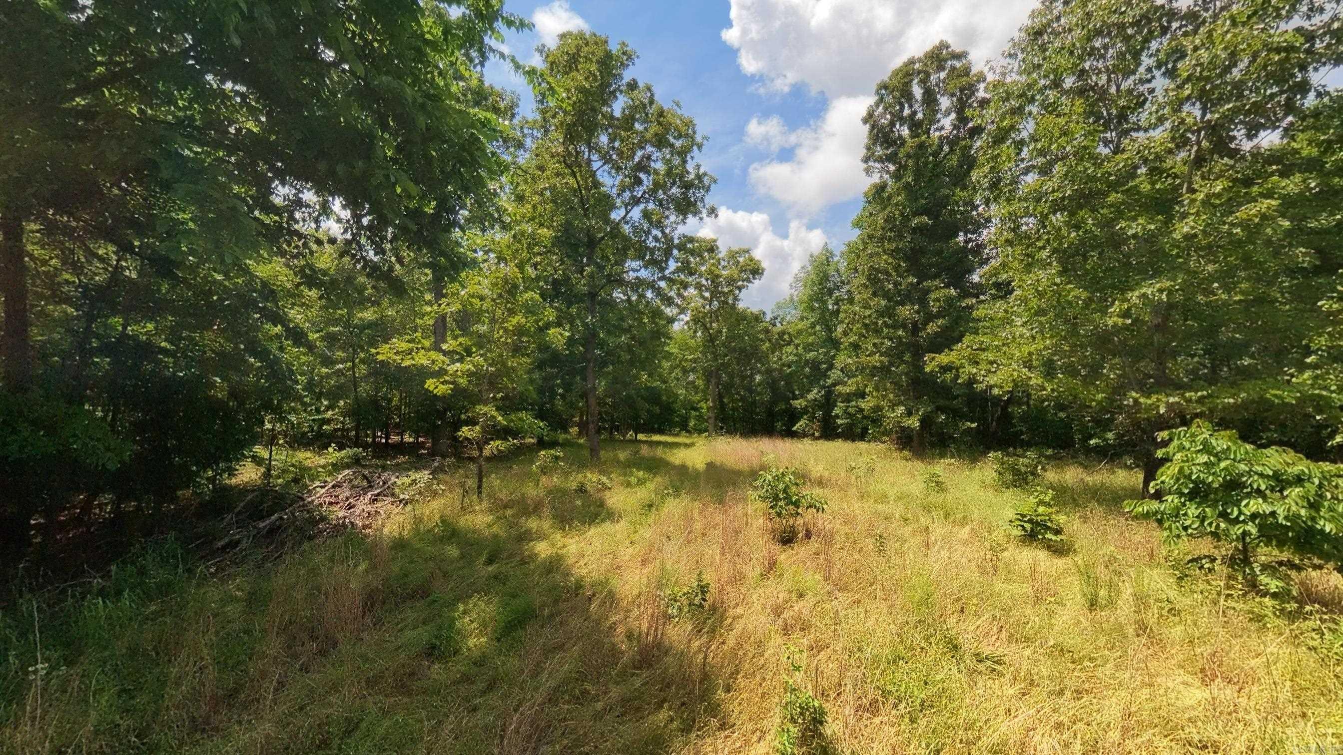 000 County Road 200  Alton, MO