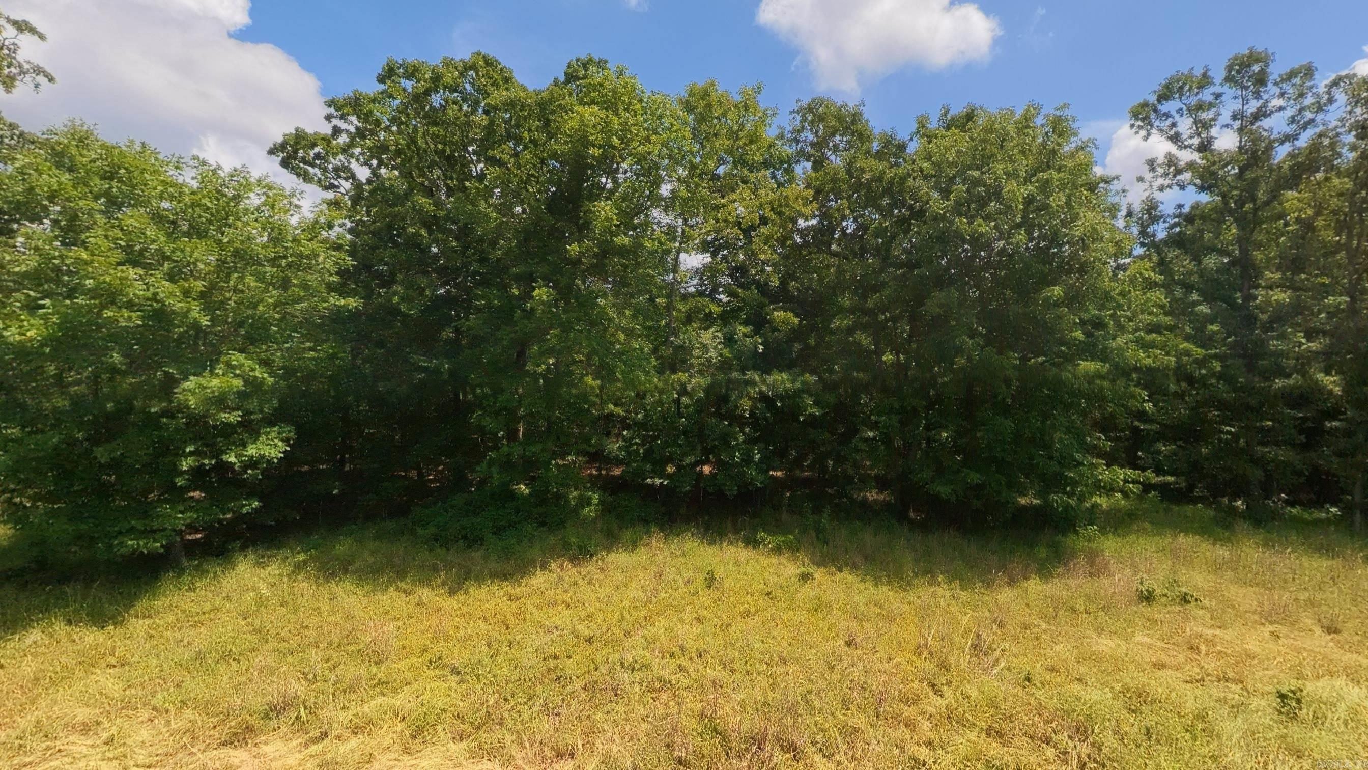 000 County Road 200  Alton, MO