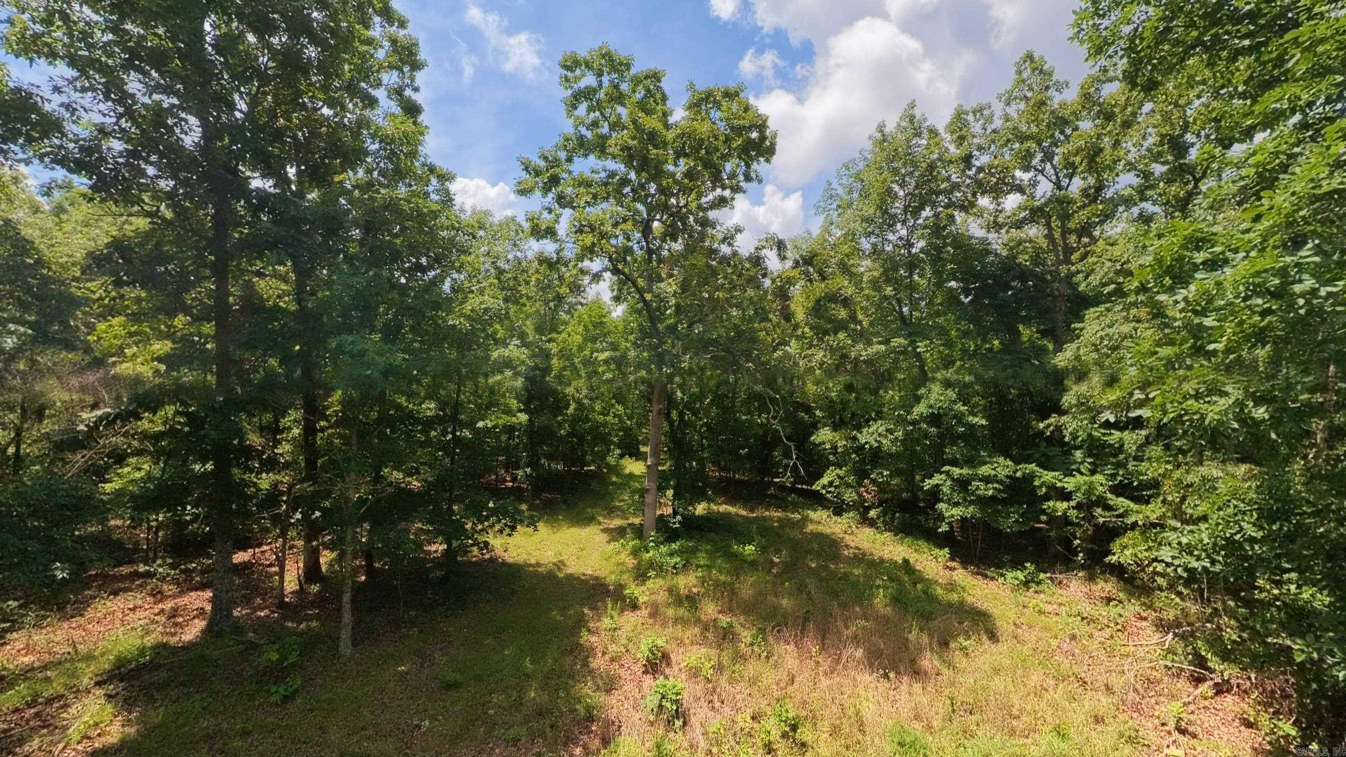 000 County Road 200  Alton, MO
