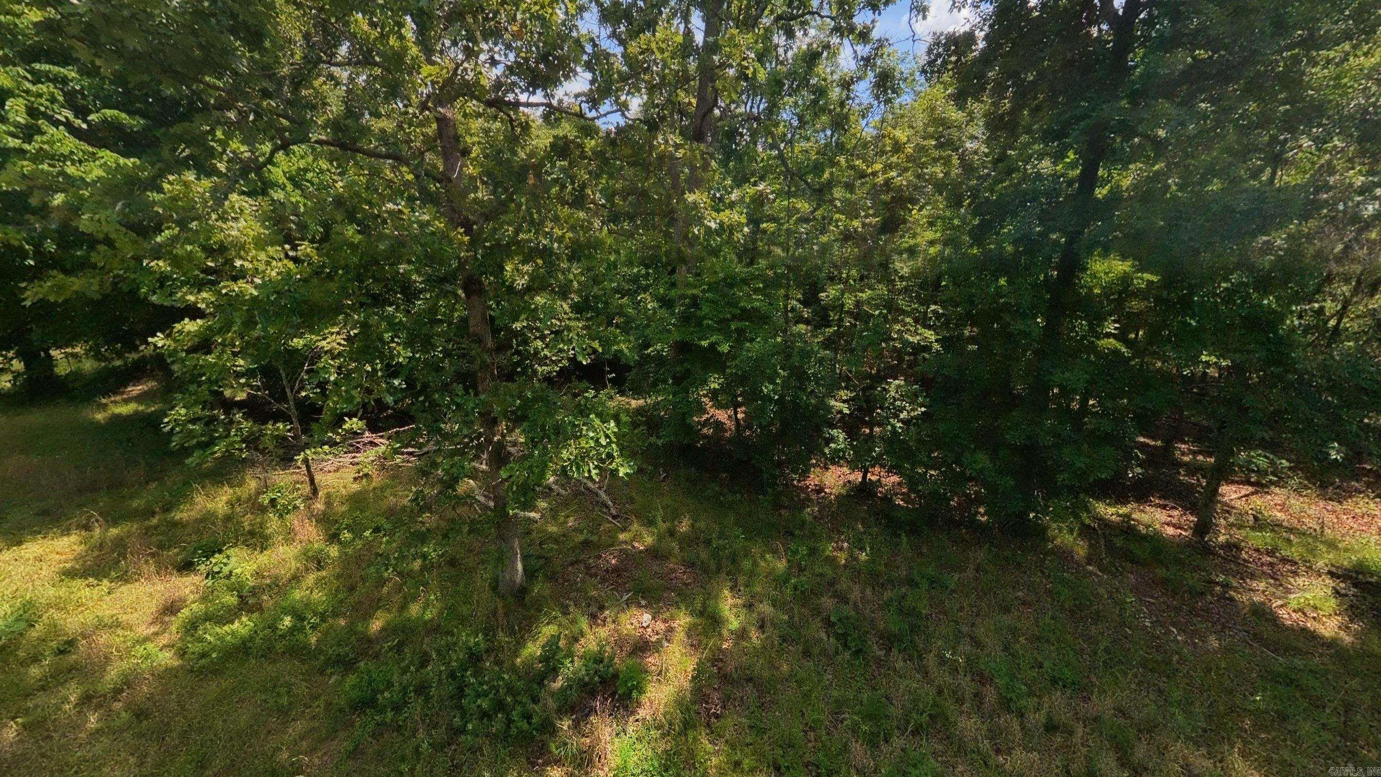 000 County Road 200  Alton, MO
