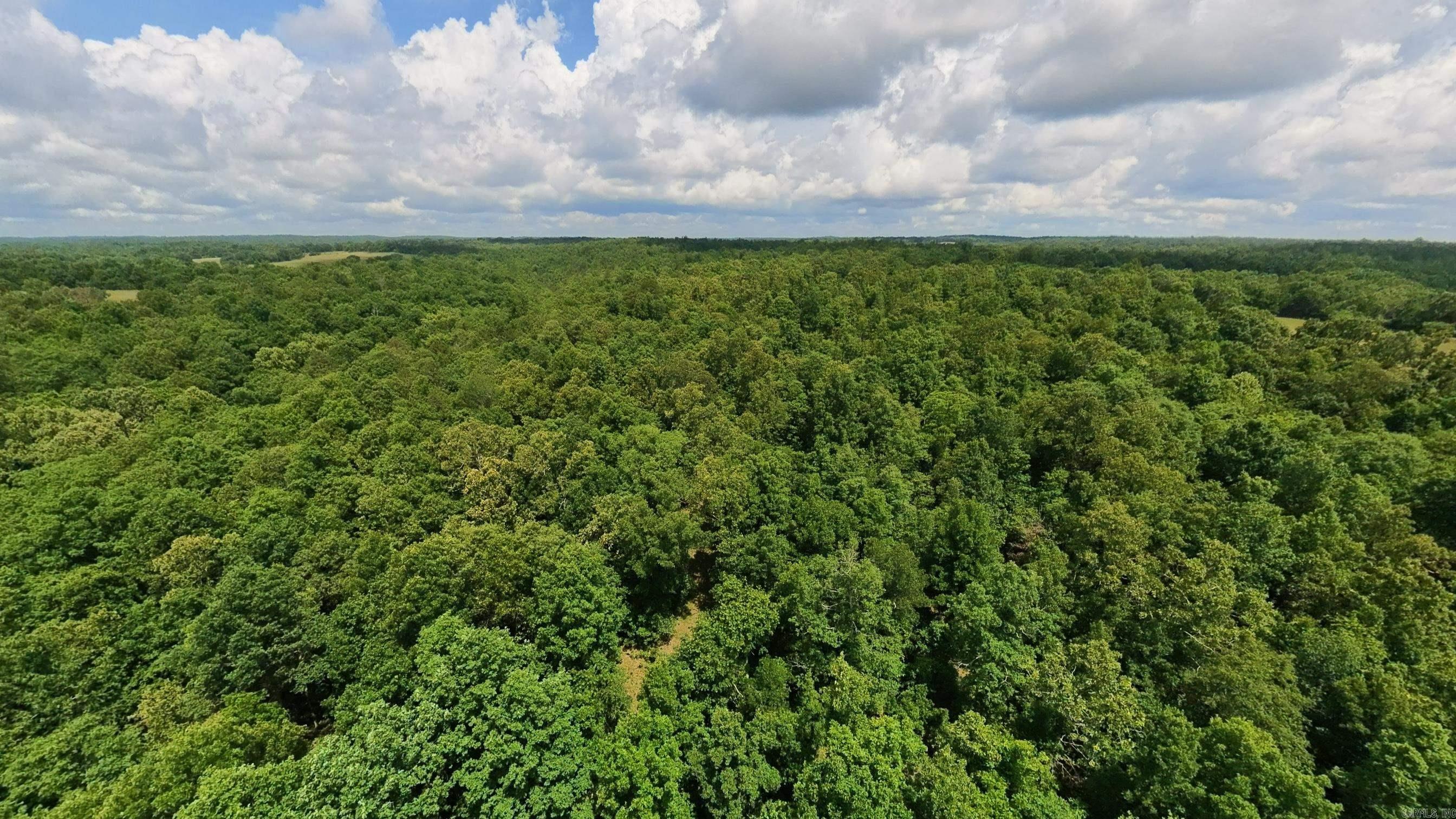 000 County Road 200  Alton, MO