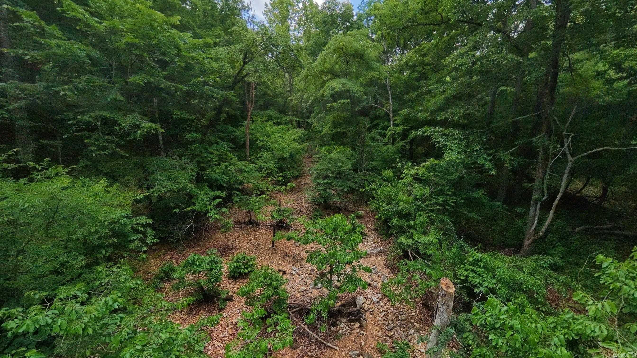000 County Road 200  Alton, MO