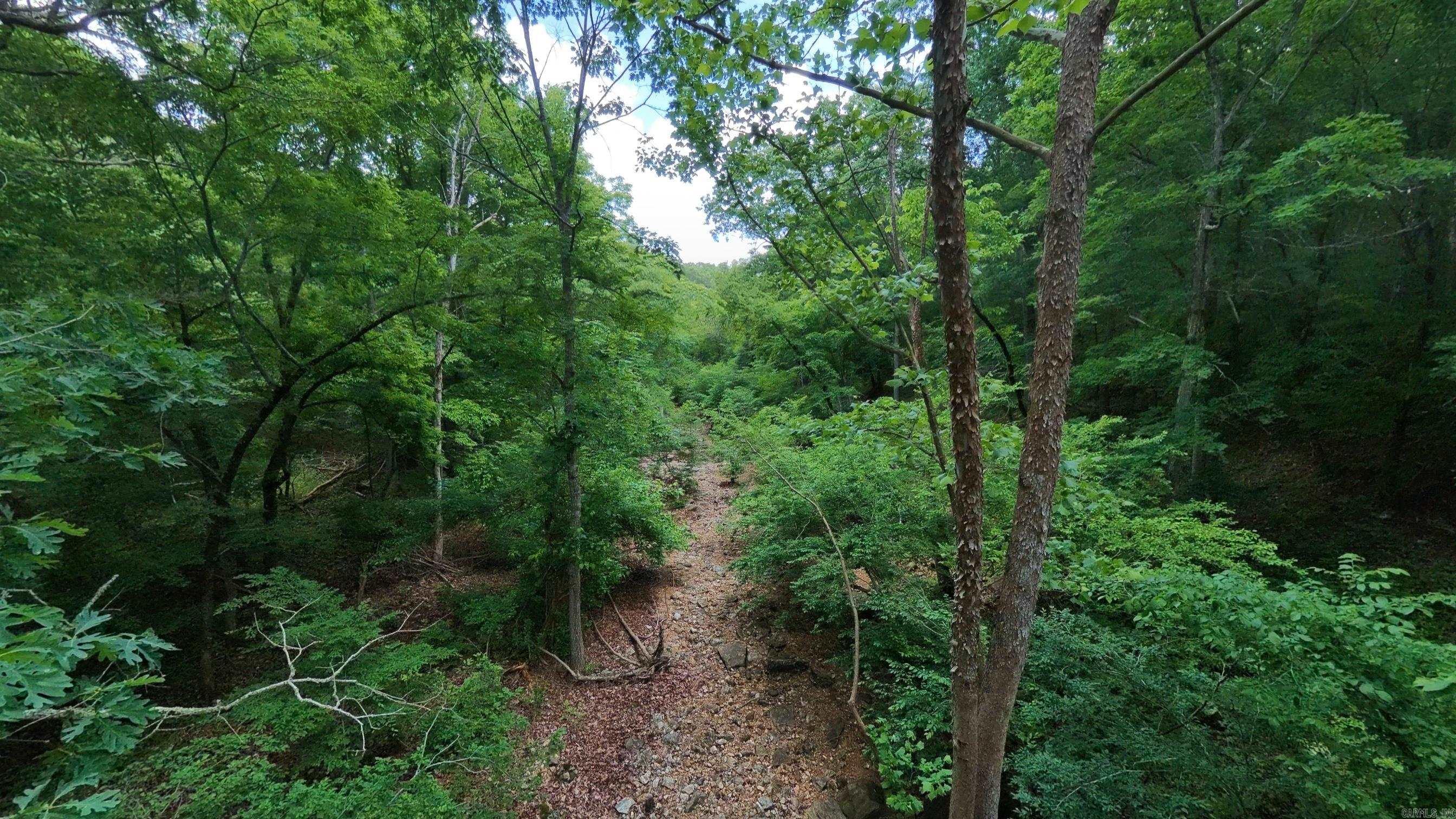 000 County Road 200  Alton, MO