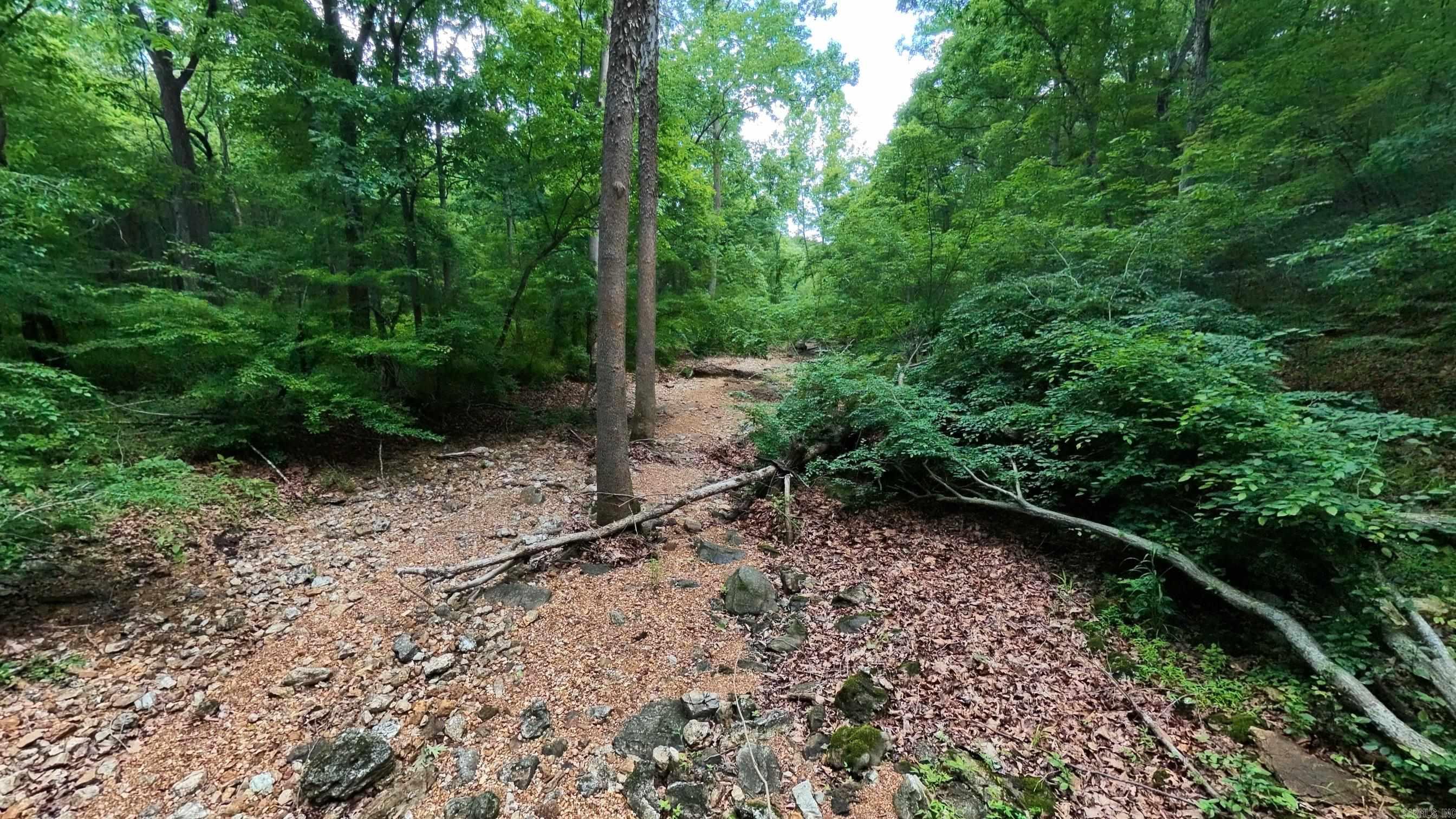 000 County Road 200  Alton, MO