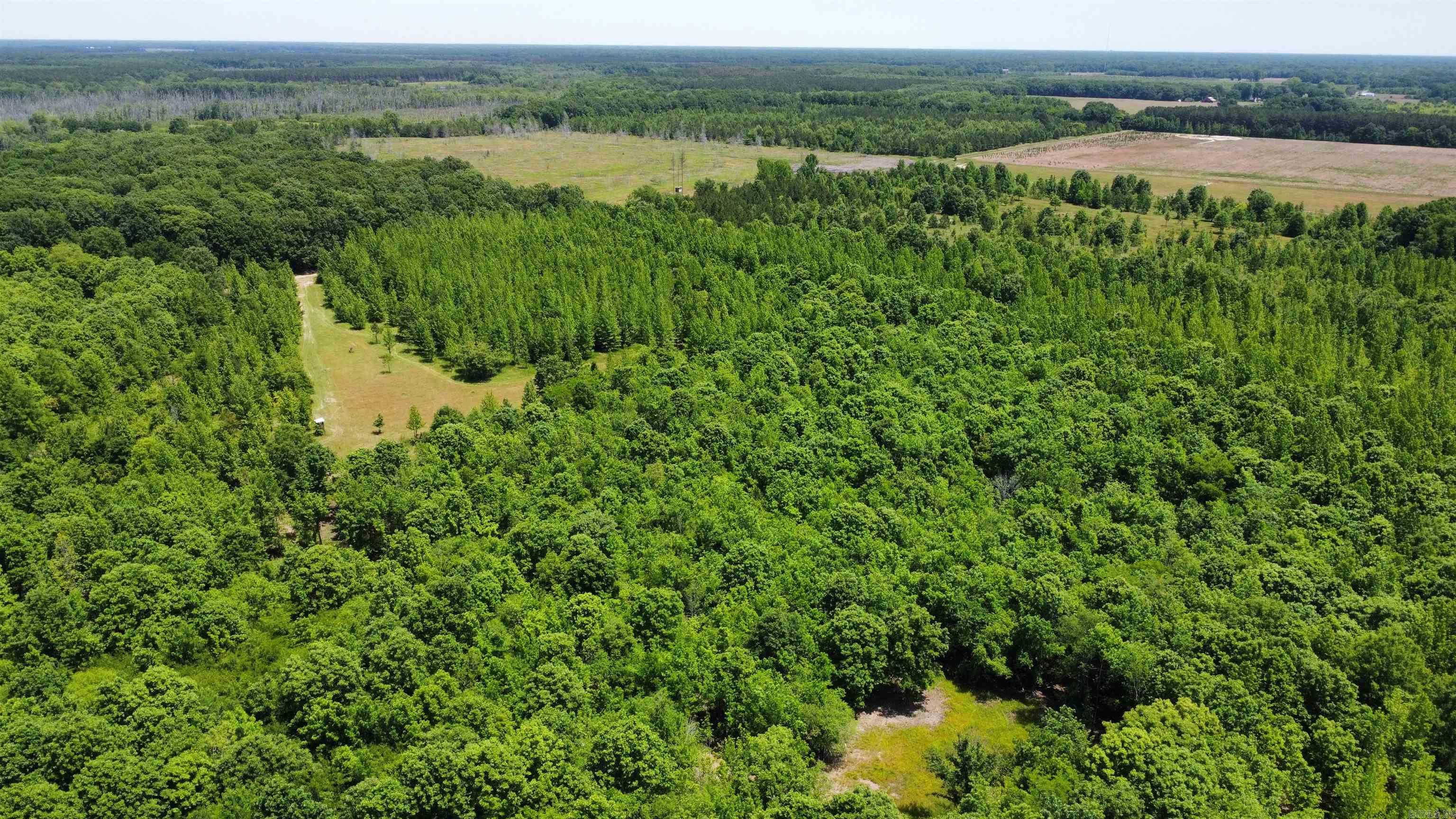 000 N Stokes  Bald Knob, AR
