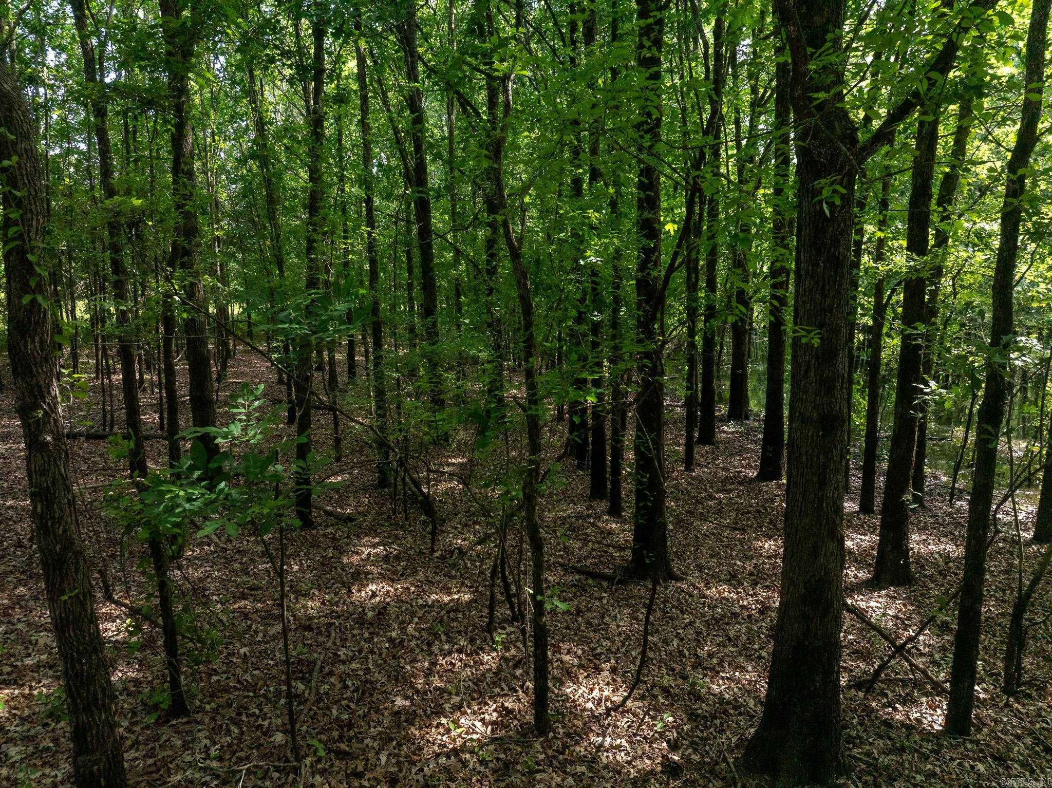 000 N Stokes  Bald Knob, AR