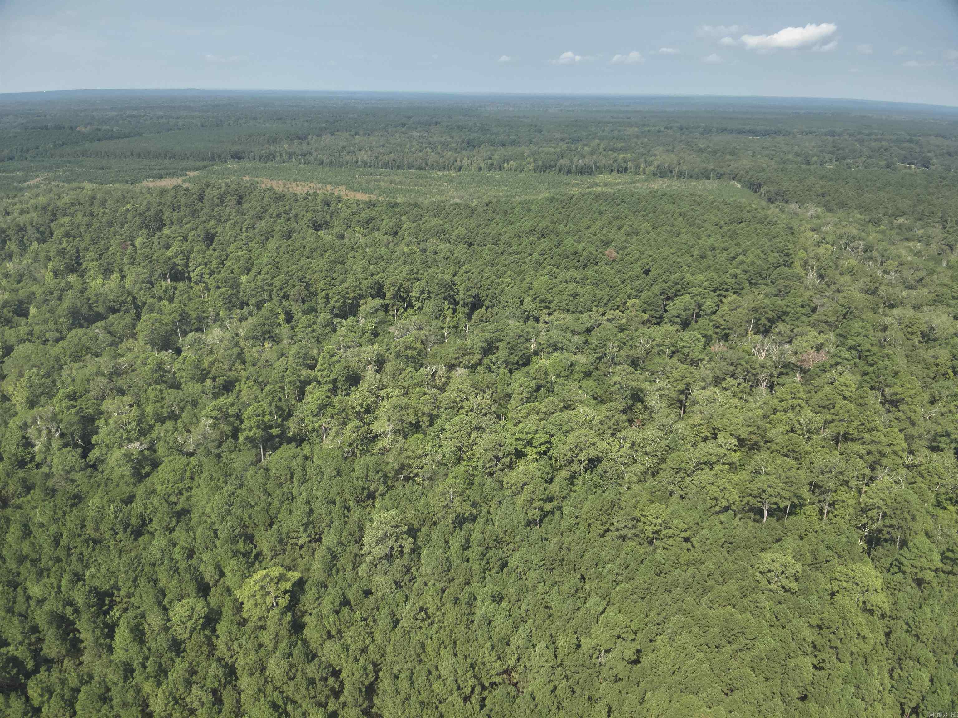 56 Field  Camden, AR