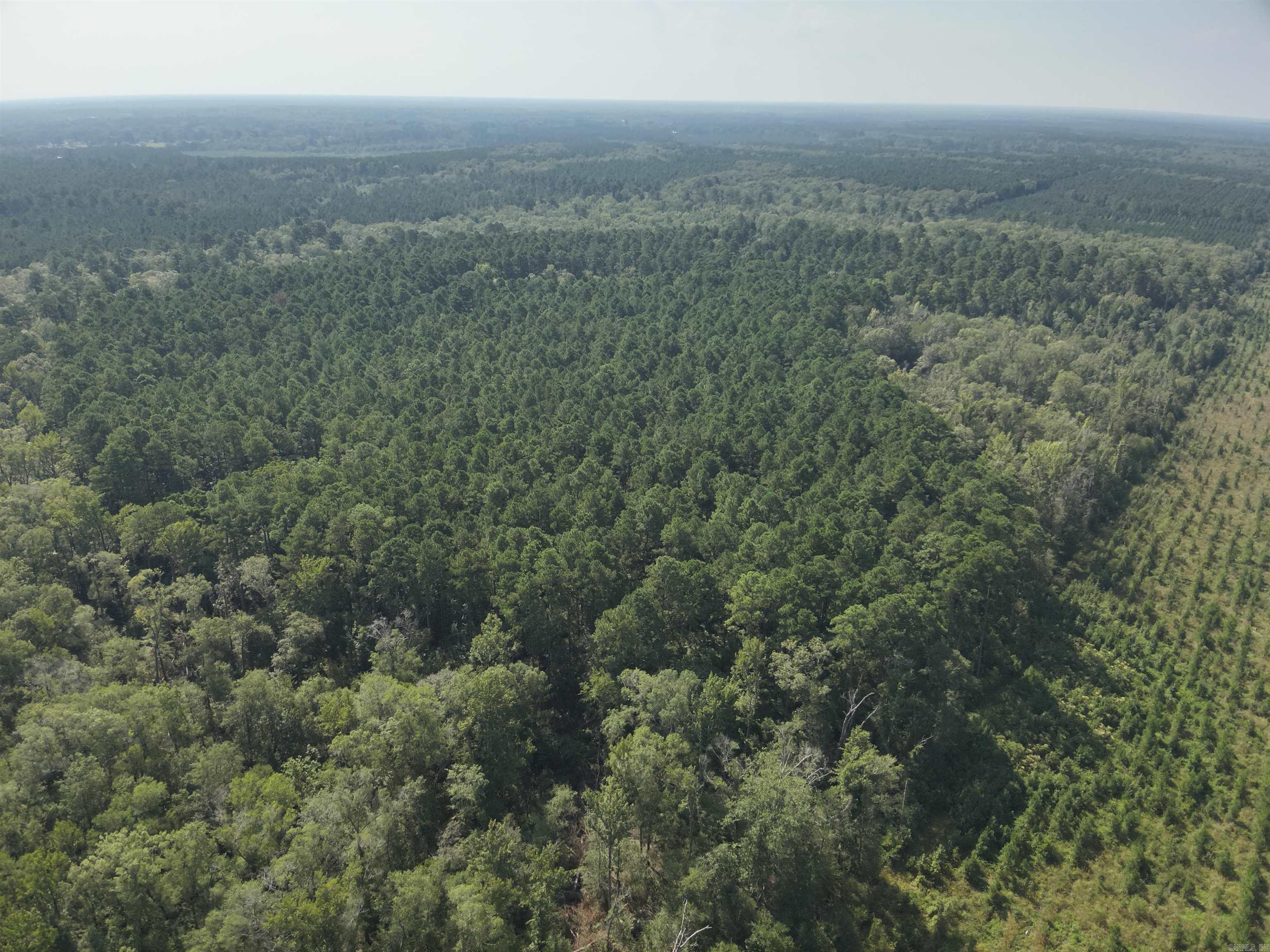 56 Field  Camden, AR