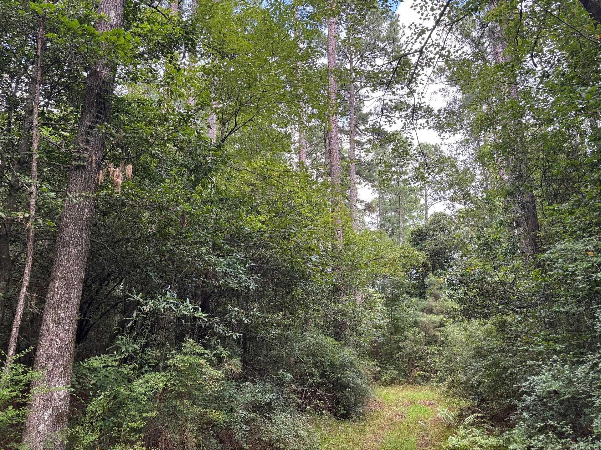 56 Field  Camden, AR