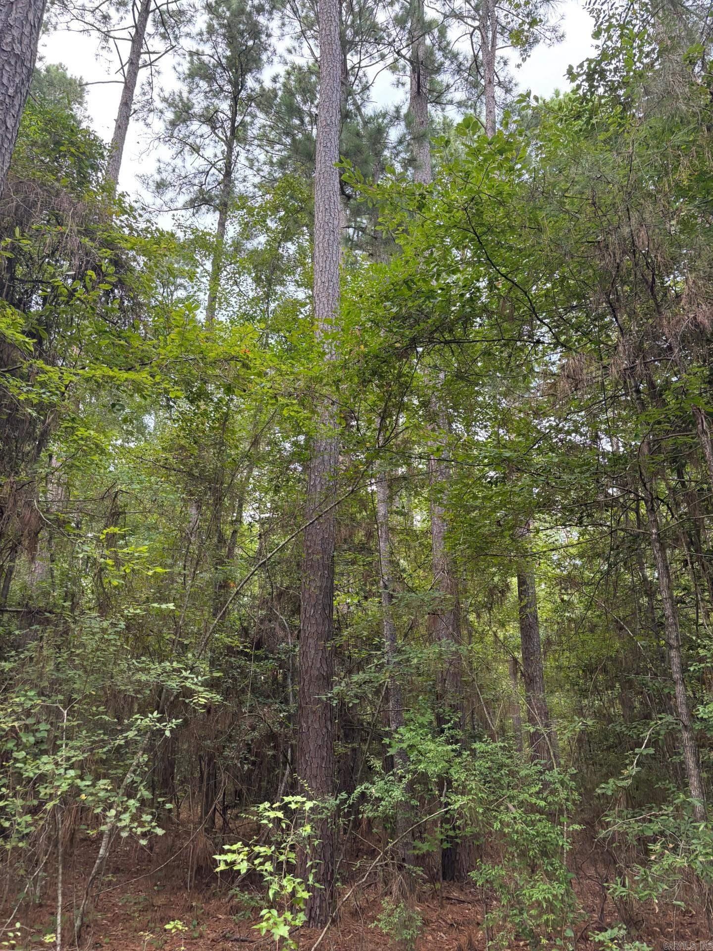56 Field  Camden, AR