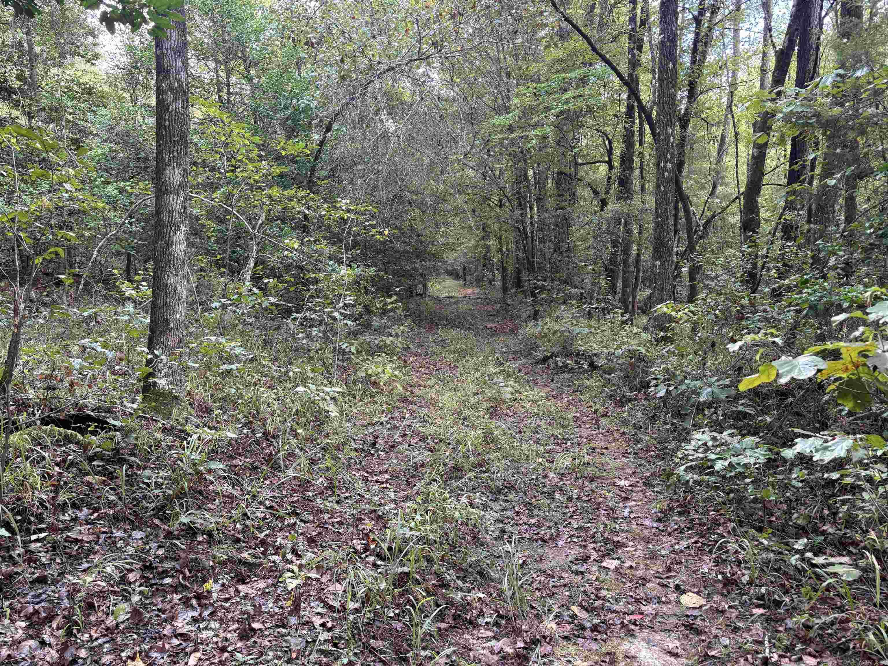 33,34-12-19 AR Hwy 57  Chidester, AR