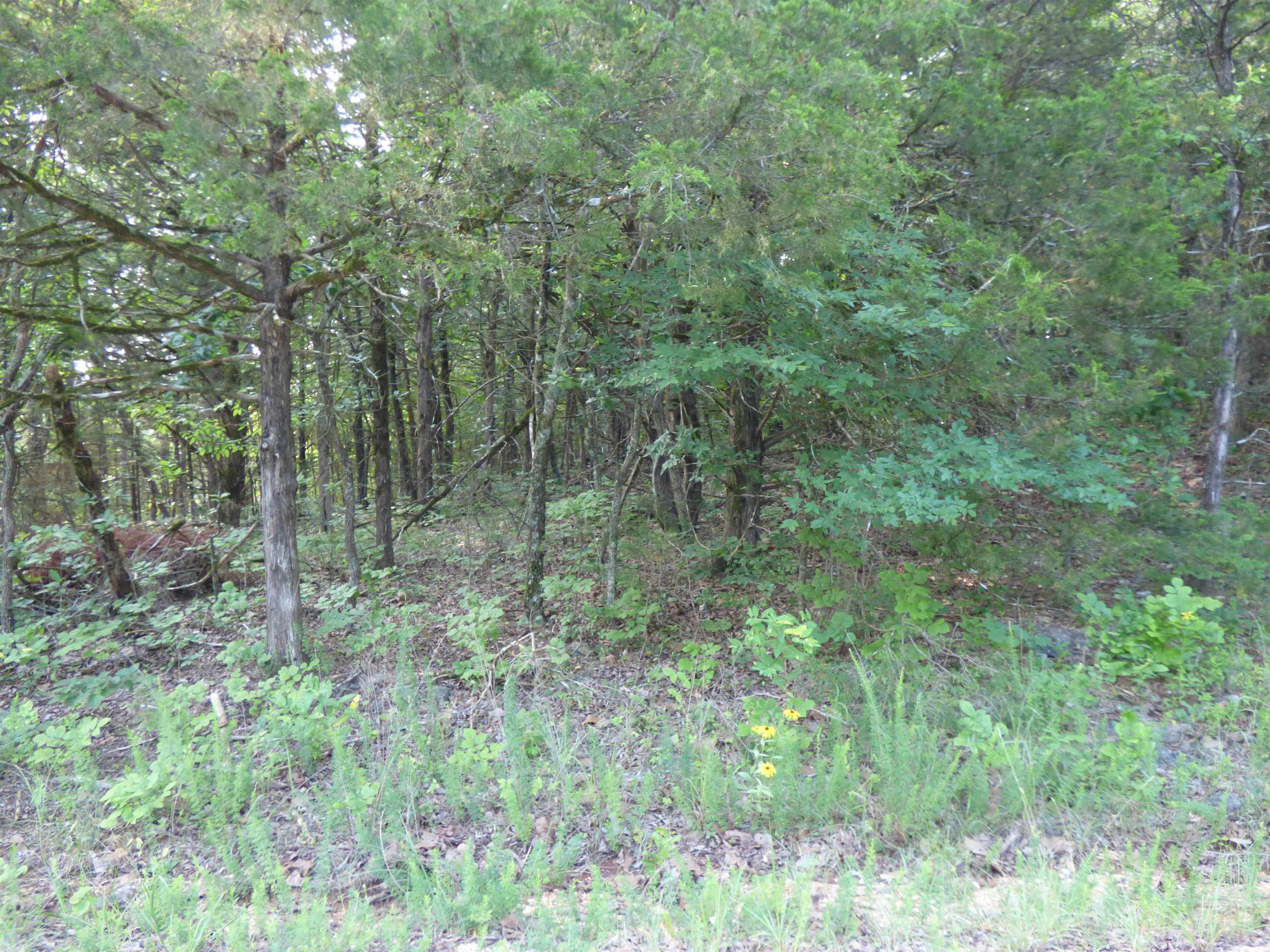 TBD Cherokee  Cherokee Village, AR