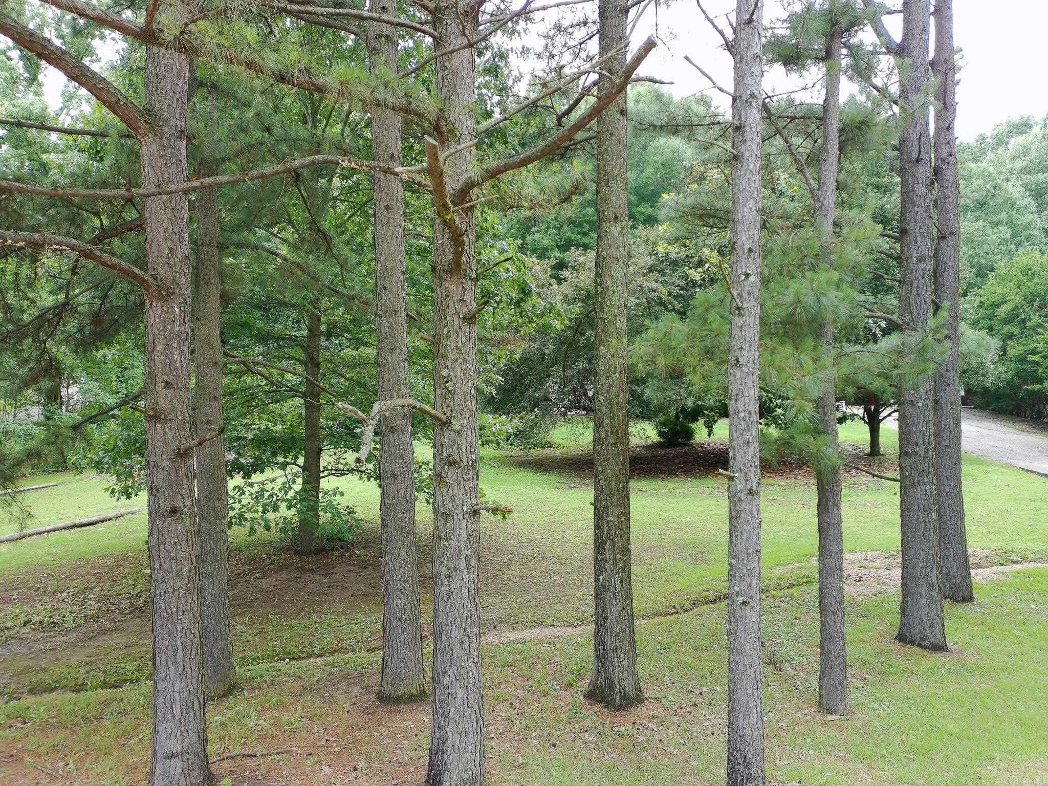 80 County Road 131  Jonesboro, AR