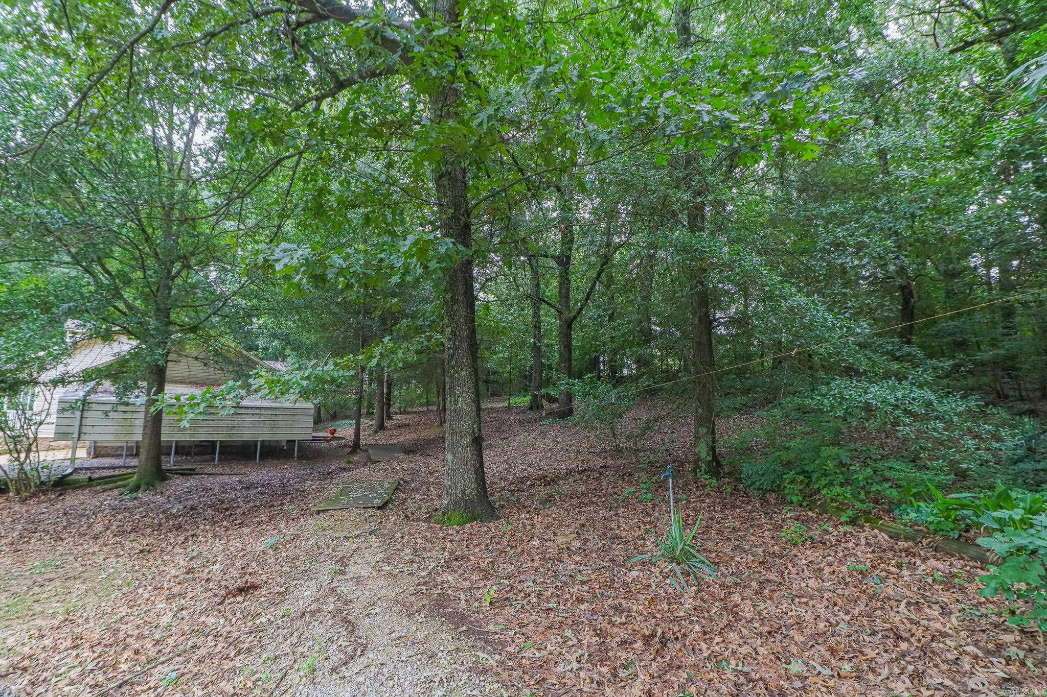 80 County Road 131  Jonesboro, AR