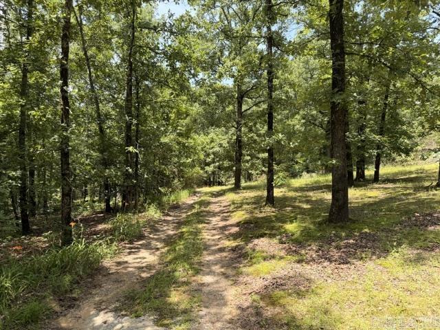136 Scenic Hill Road  Conway, AR