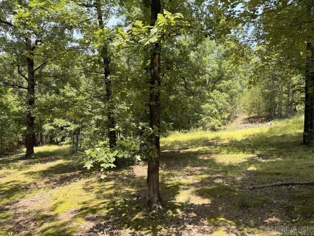 136 Scenic Hill  Conway, AR
