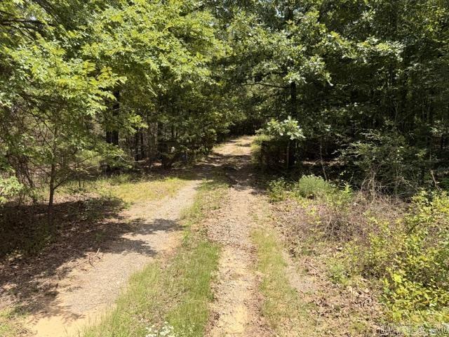 136 Scenic Hill Road  Conway, AR