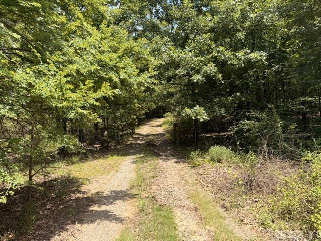 136 Scenic Hill Road  Conway, AR