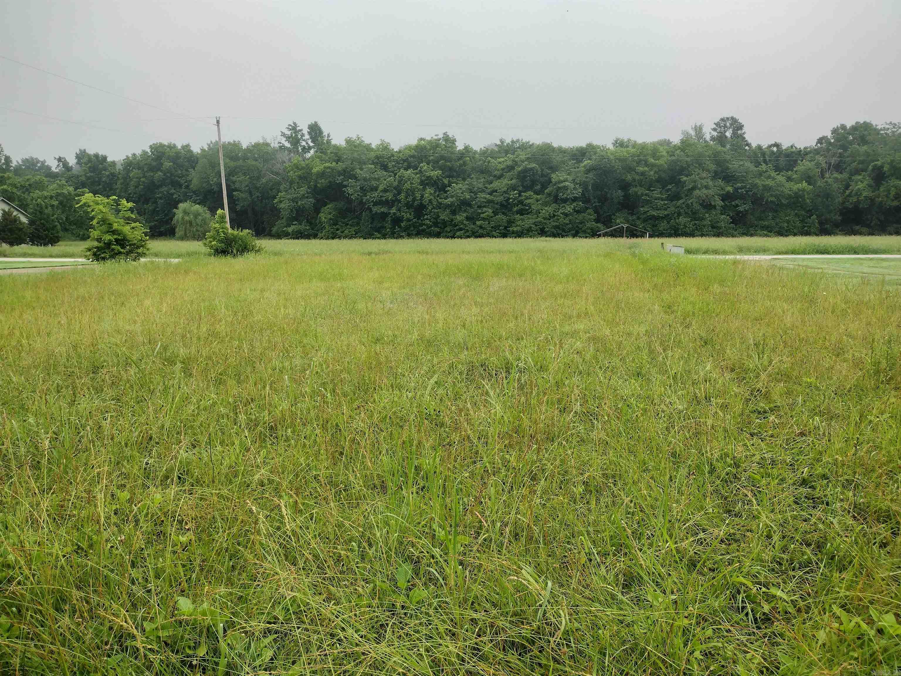 890 S River View LN  Mountain View, AR