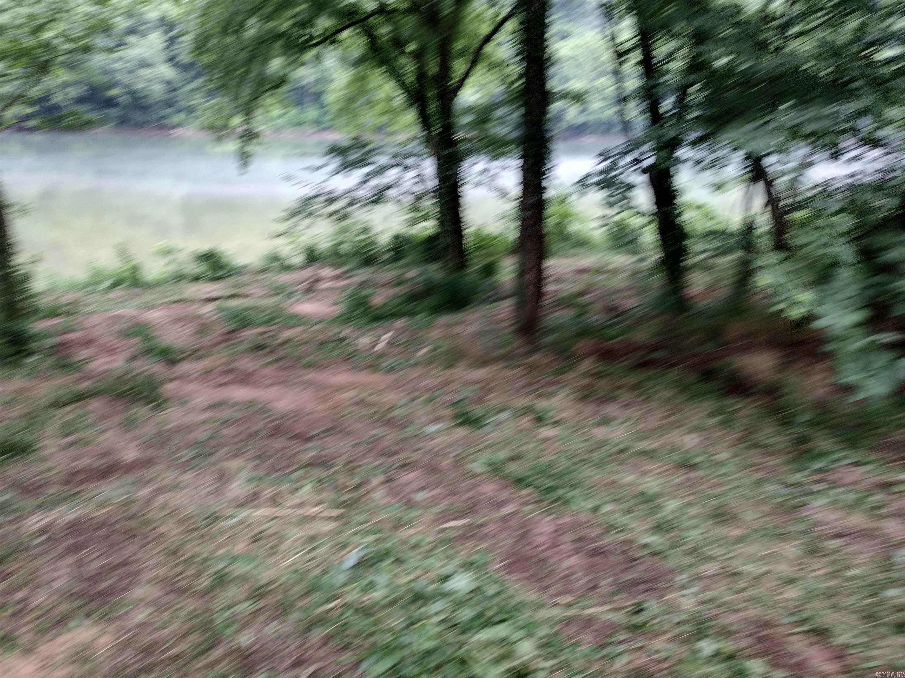 890 S River View LN  Mountain View, AR