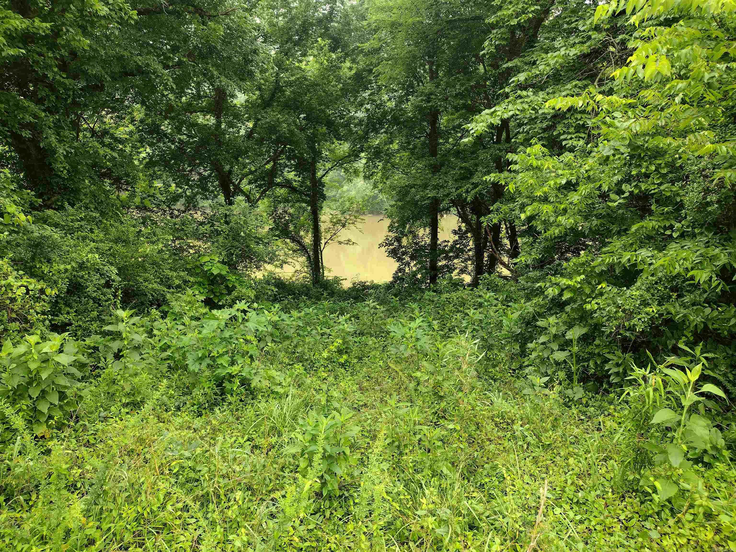 890 S River View LN  Mountain View, AR