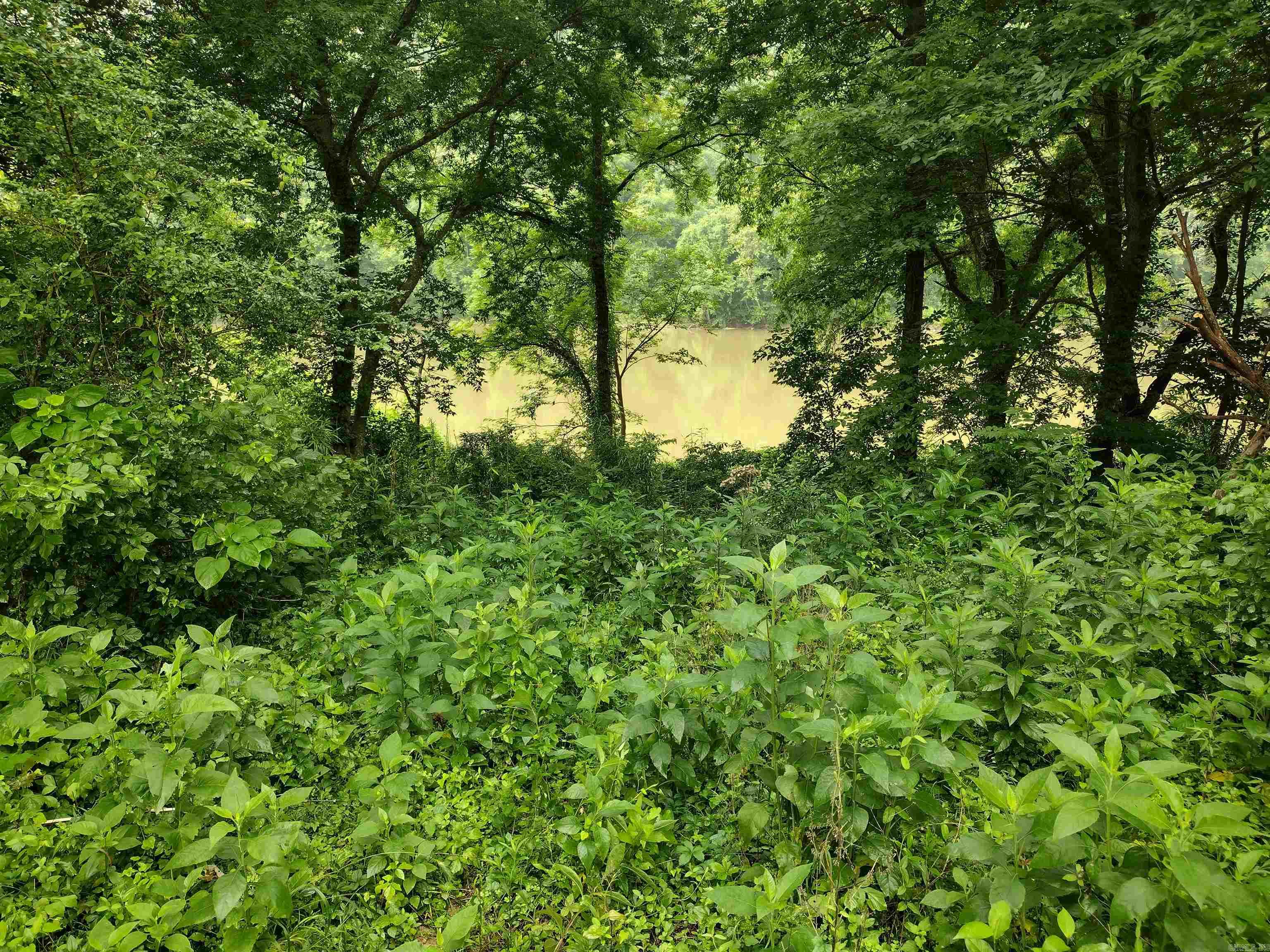 890 S River View LN  Mountain View, AR
