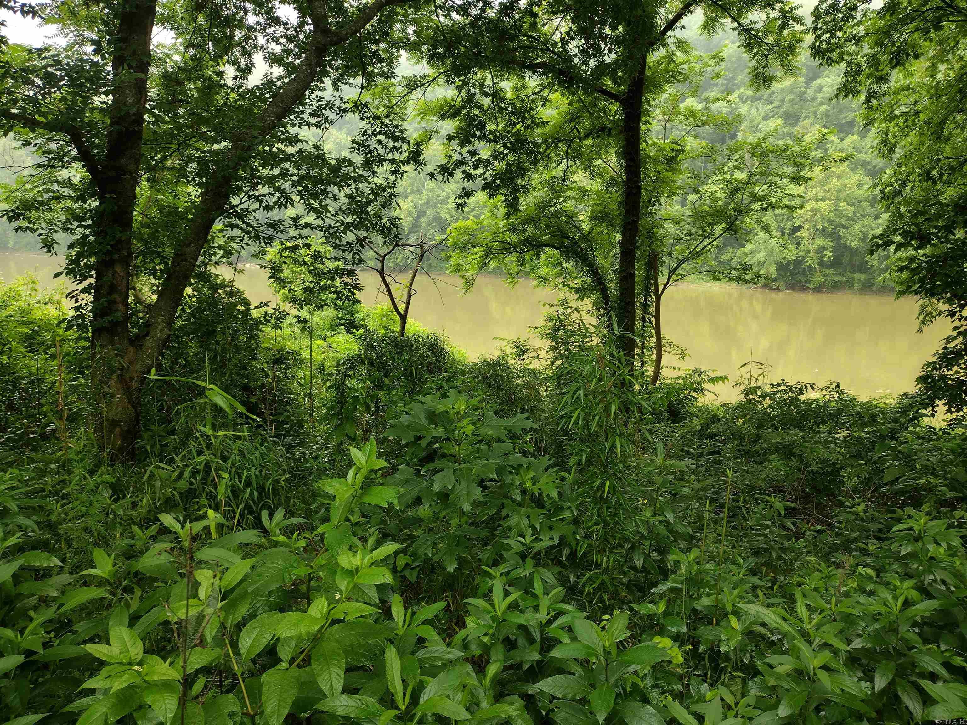 890 S River View LN  Mountain View, AR