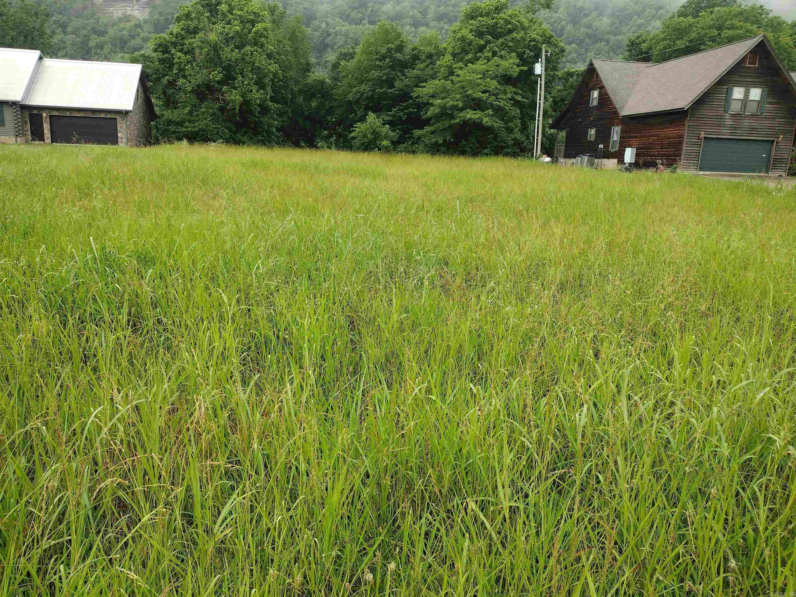 890 S River View LN  Mountain View, AR