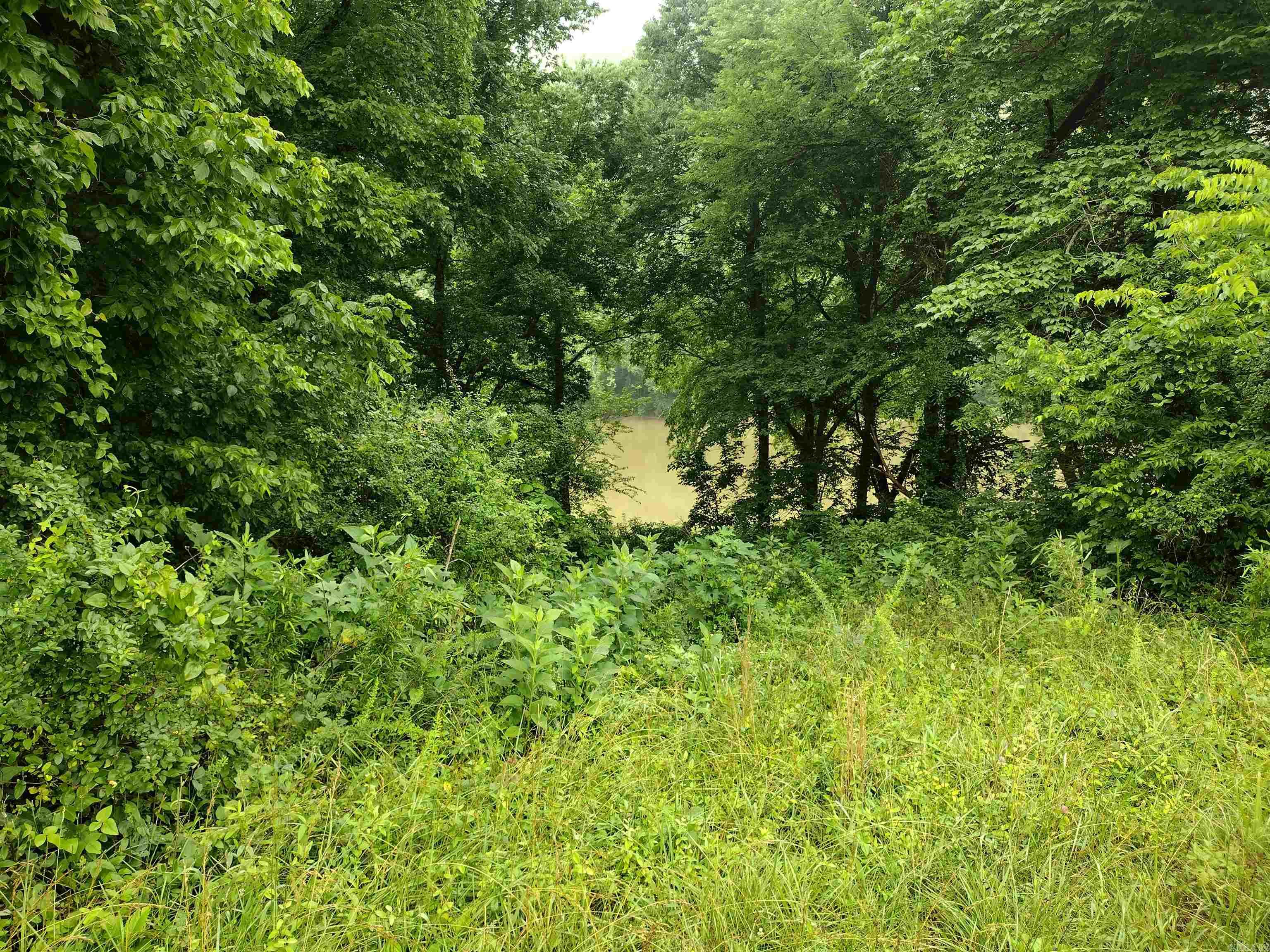 890 S River View LN  Mountain View, AR