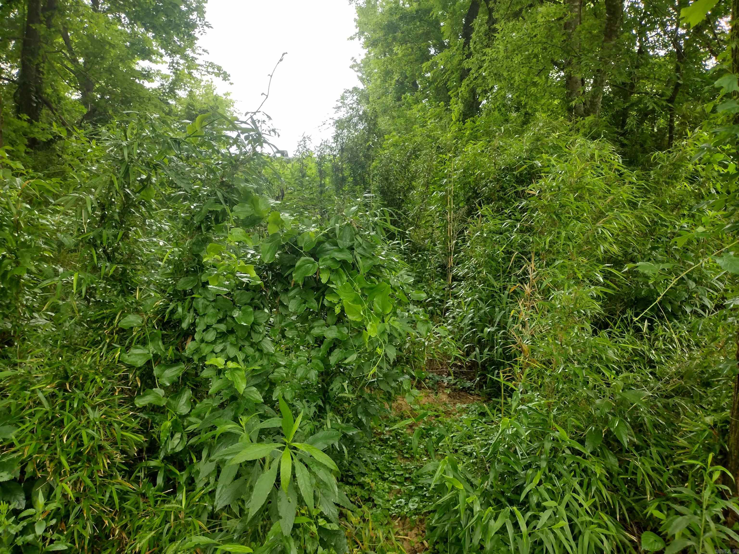 890 S River View LN  Mountain View, AR