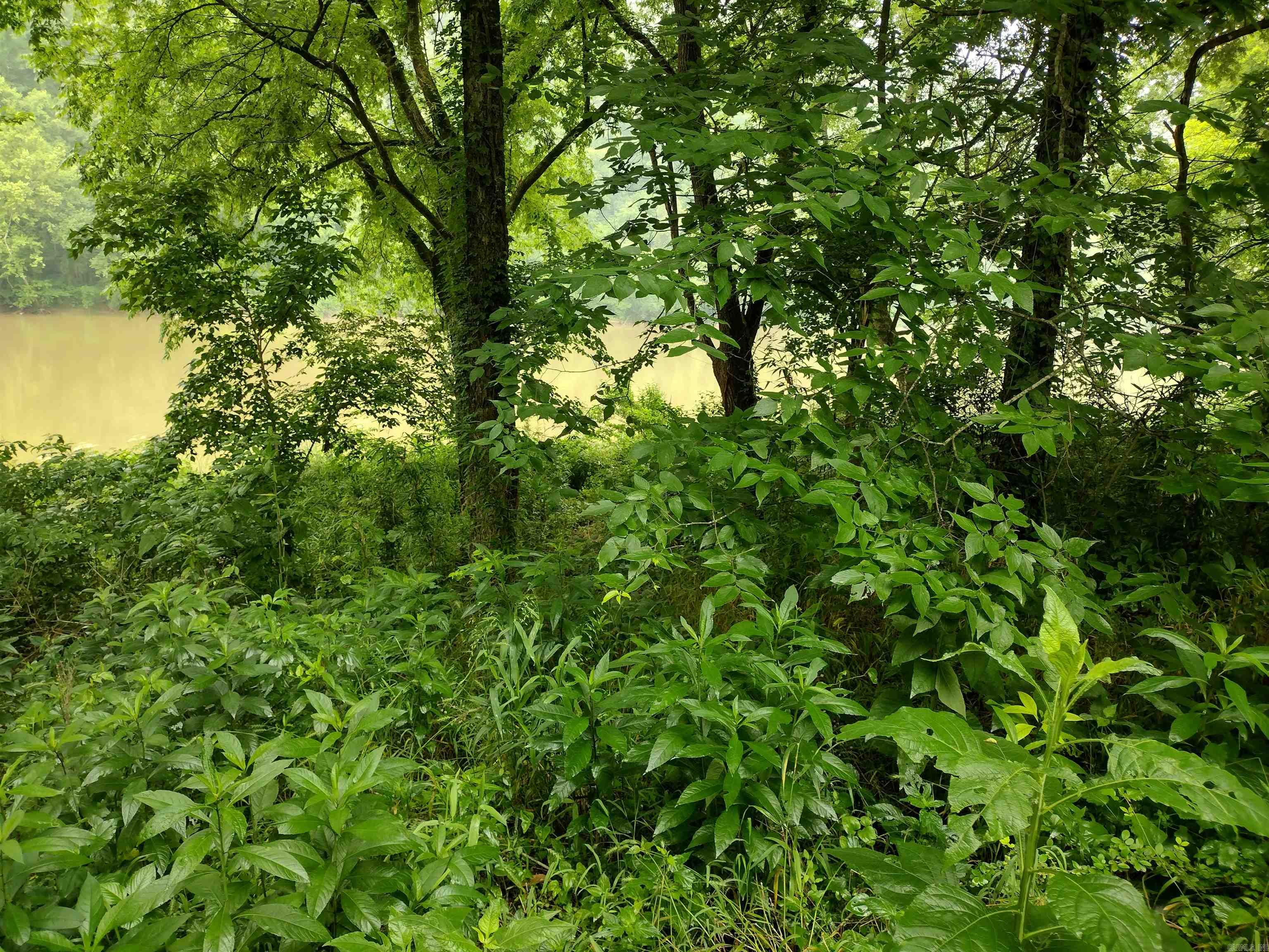 890 S River View LN  Mountain View, AR