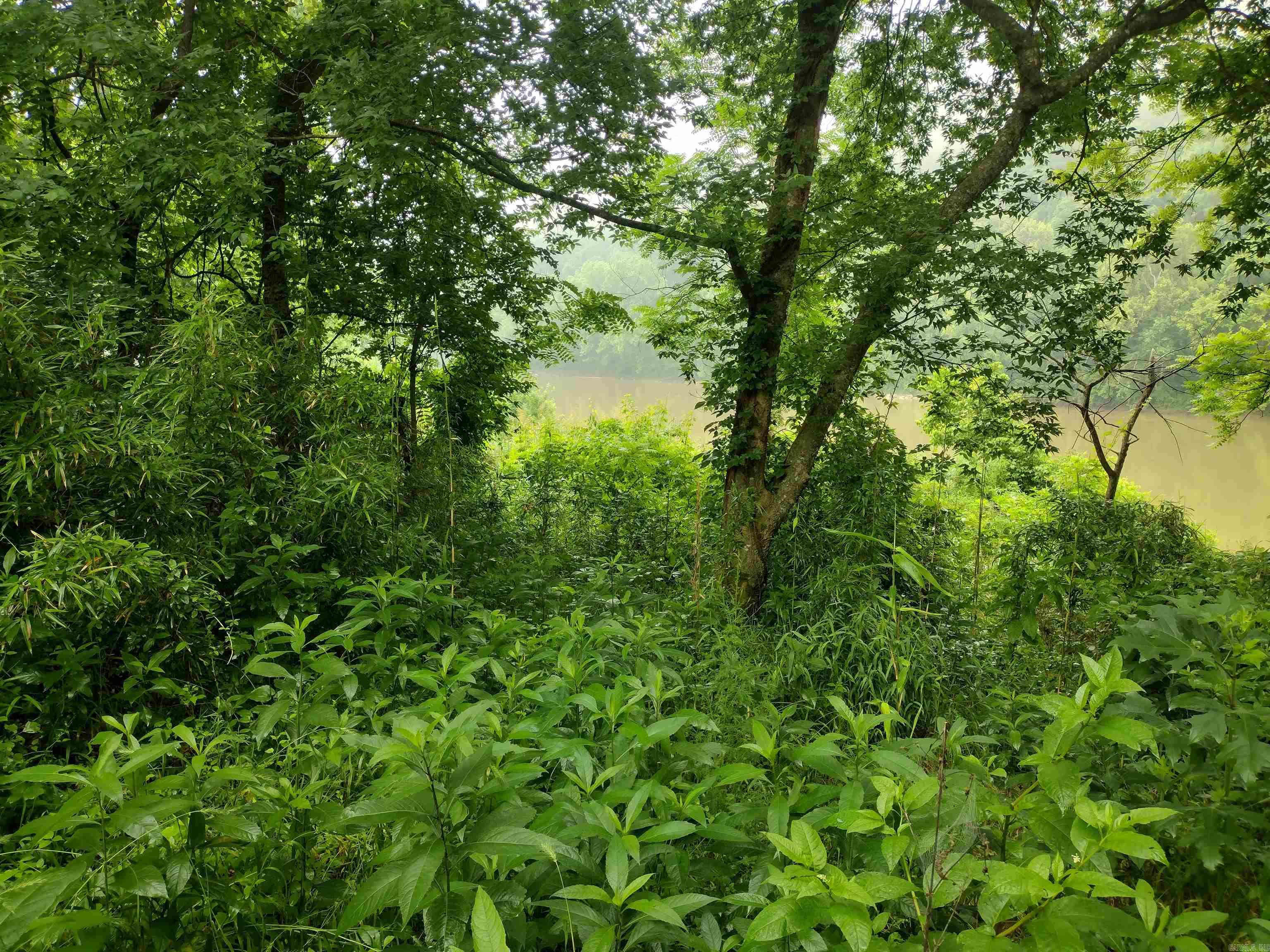 890 S River View LN  Mountain View, AR