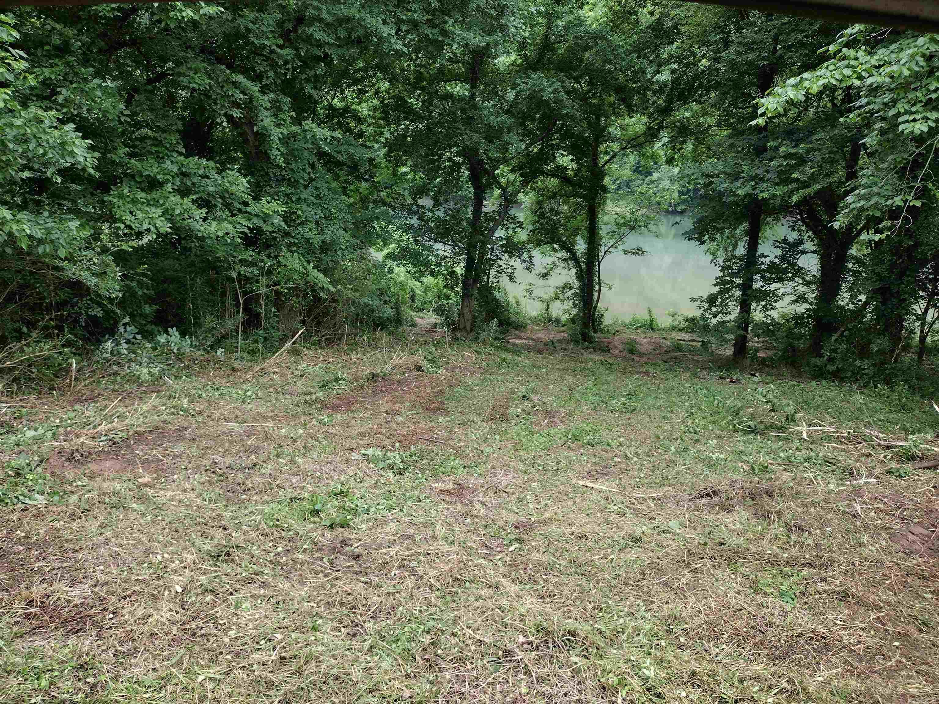 890 S River View LN  Mountain View, AR