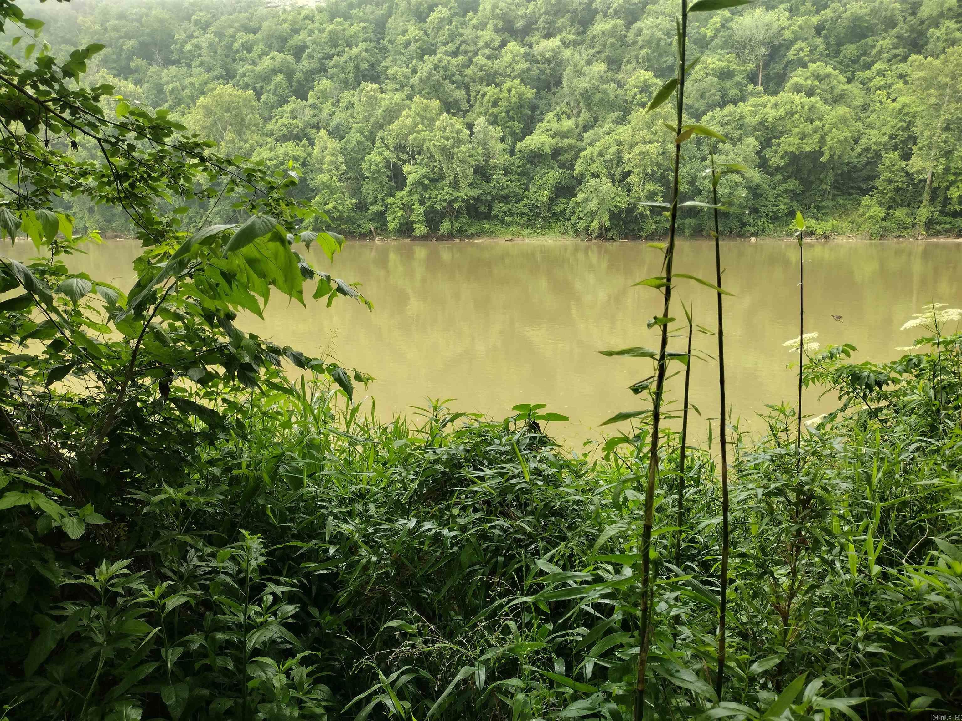 890 S River View LN  Mountain View, AR