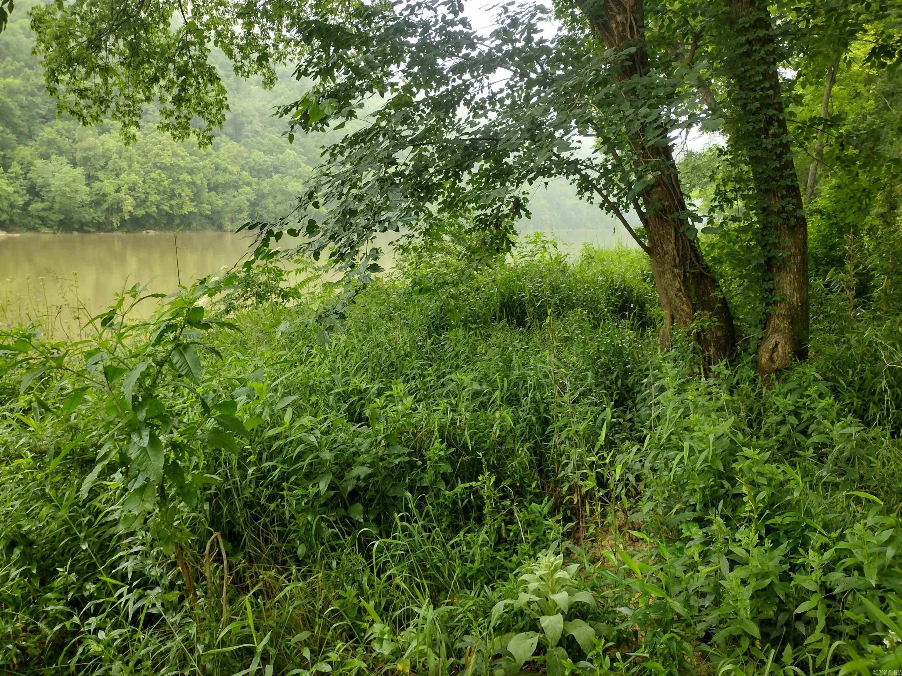 890 S River View LN  Mountain View, AR